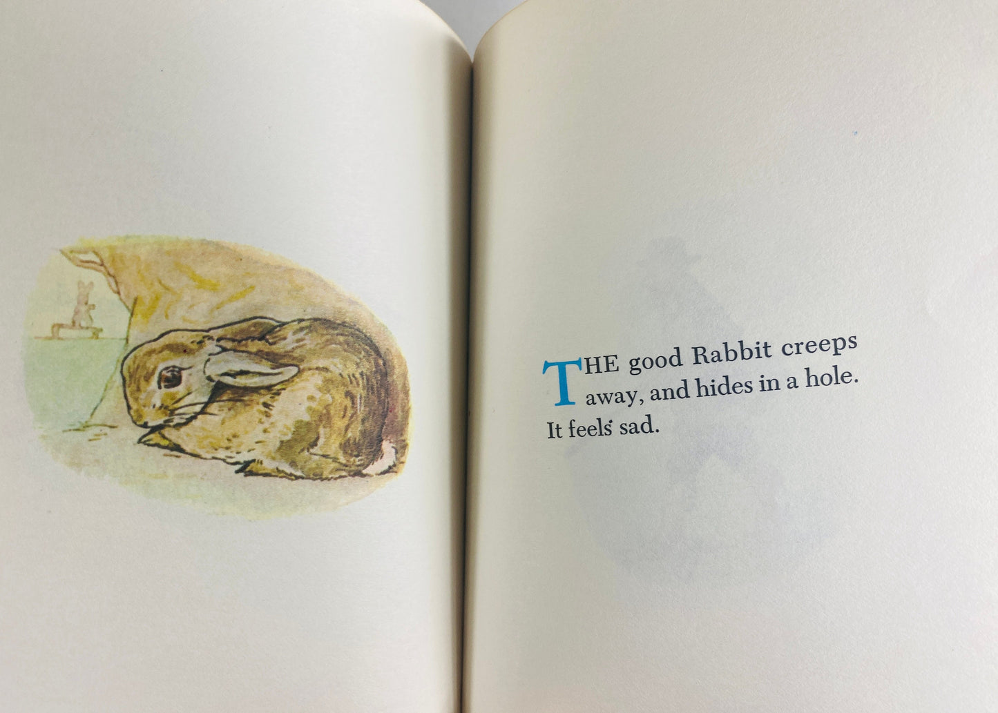 Story of Miss Moppet and a Fierce Bad Rabbit by Beatrix Potter vintage children's book circa 1987. Tale of Peter Rabbit.