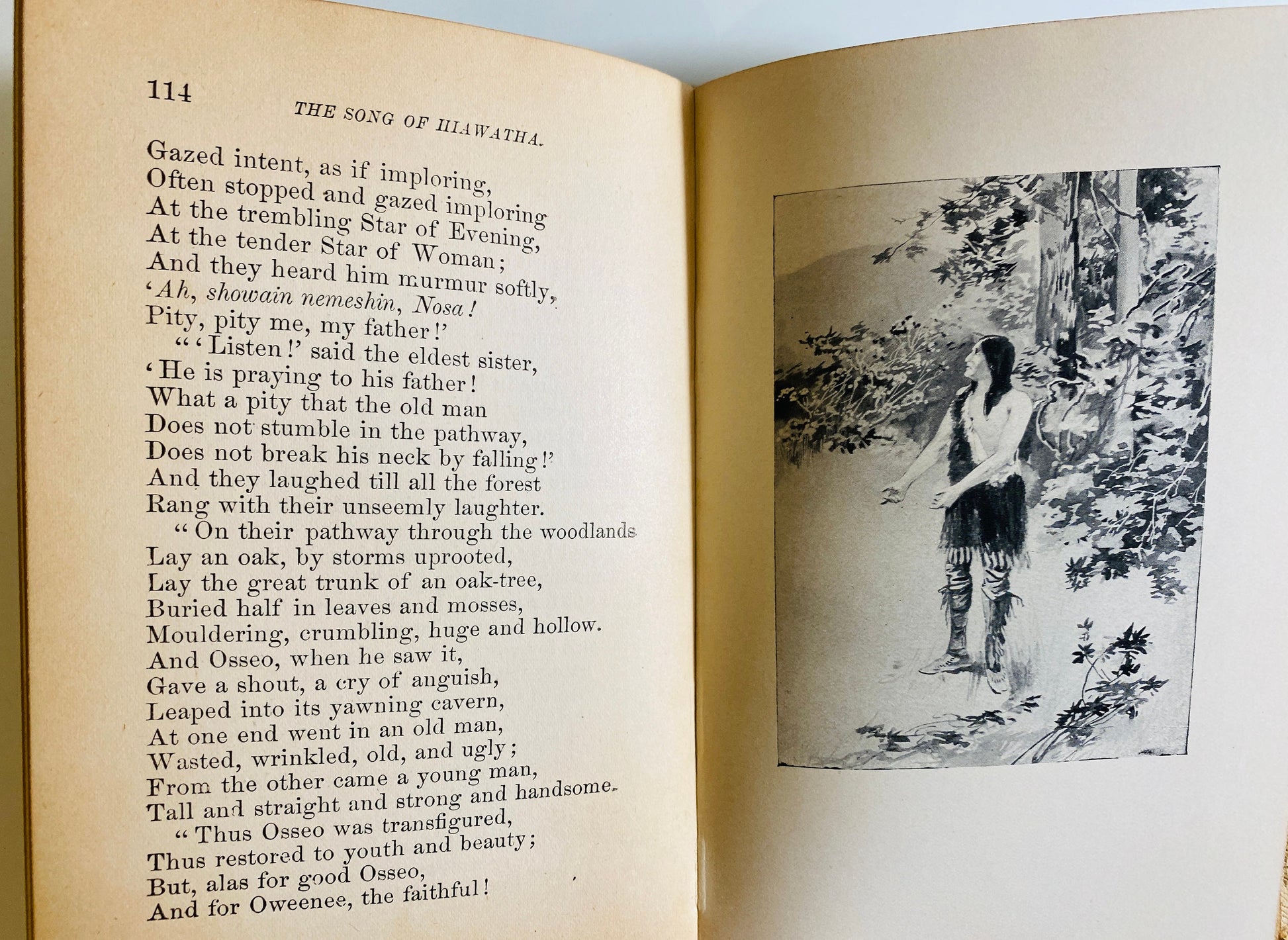 Song of Hiawatha by Henry Wadsworth Longfellow GORGEOUS small vintage book circa 1898 Gilt Embossed Cover Antique published by Henry Altemus