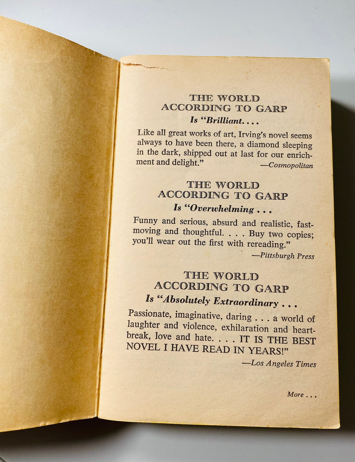 World According to Garp Vintage paperback book circa 1979 by John Irving. Robin Williams John Lithgow Glenn Close.