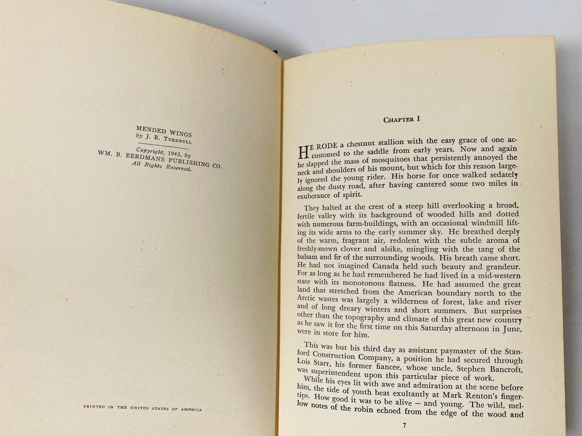 Mended Wings by Turnbull FIRST EDITION vintage book circa 1943. Story about true Christian friendship and romance Yellow decor