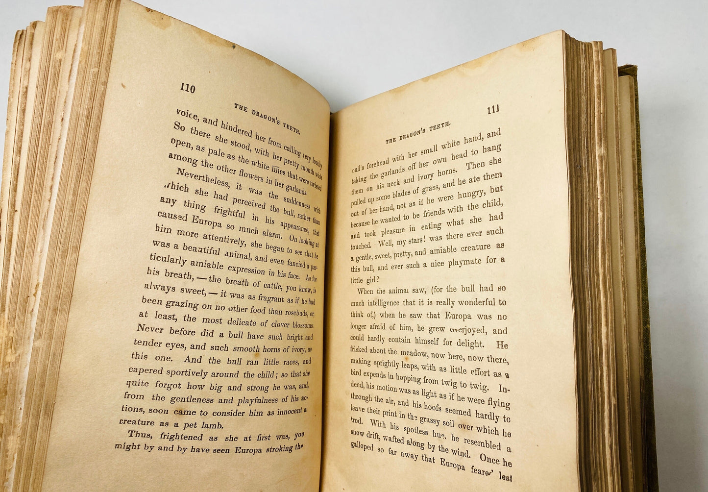 Tanglewood Tales by antique Nathaniel Hawthorne Vintage Book circa 1881 Gorgeous bookshelf decor gift