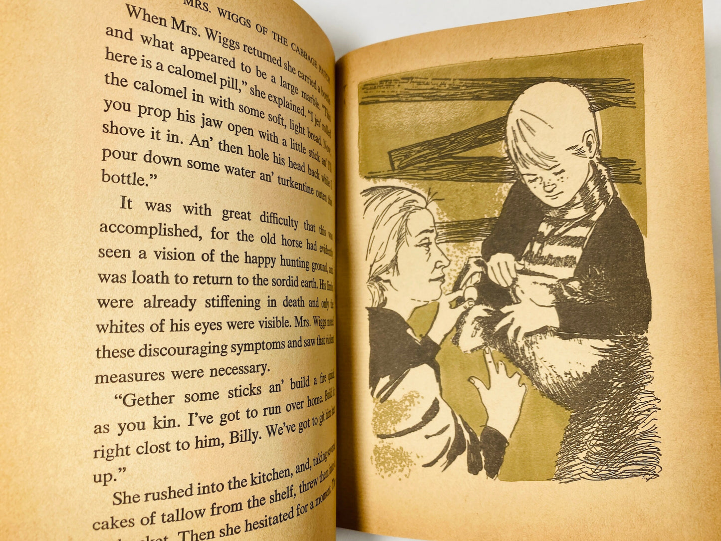 1962 Mrs Wiggs of the Cabbage Patch by Alice Caldwell Hegan Vintage Whitman book about a southern family coping with poverty Green decor