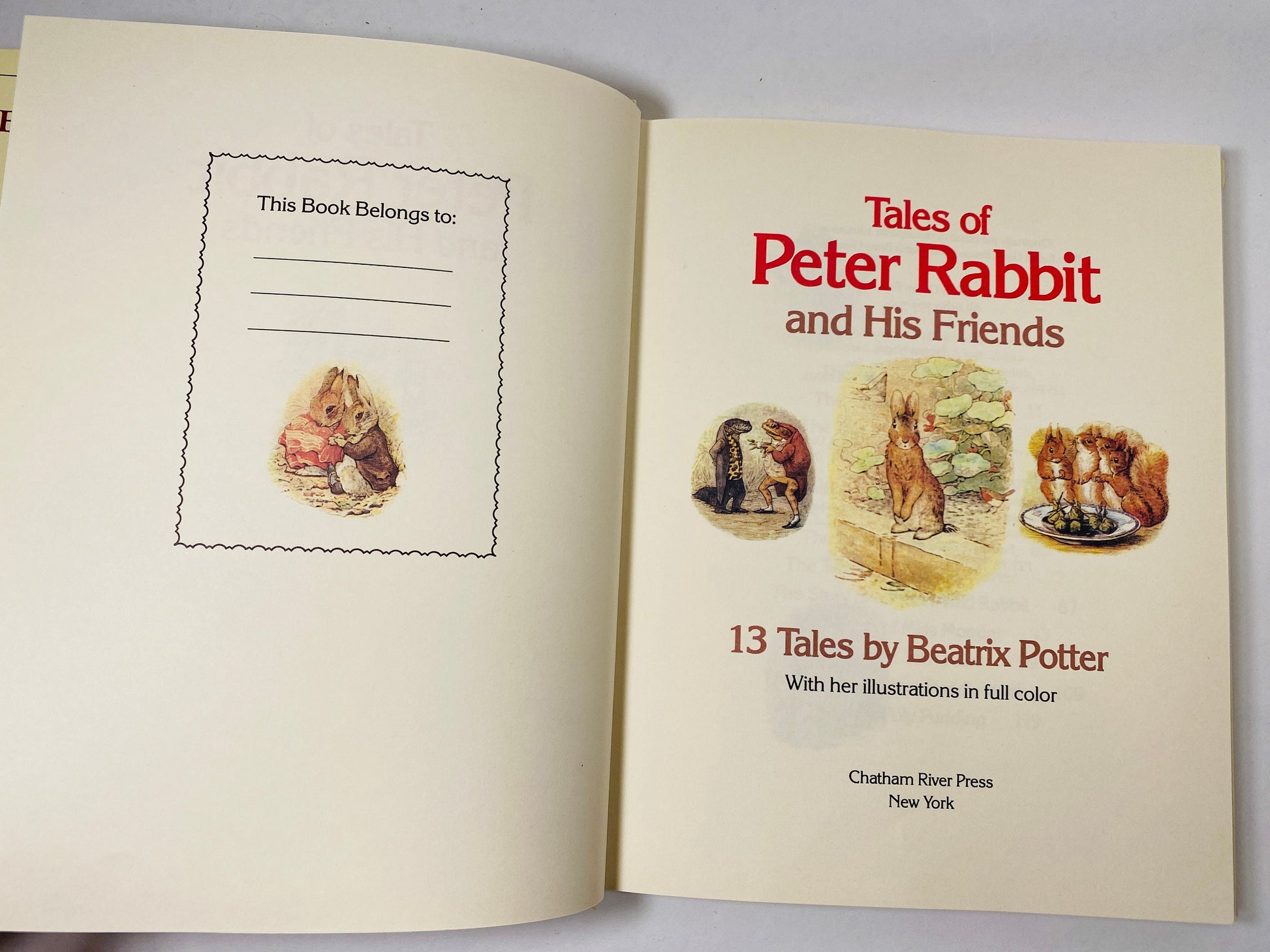 Tales of Peter Rabbit and his Friends vintage book from 1984 written by Beatrix Potter. Crown Publisher Christmas gift. stocking stuffer