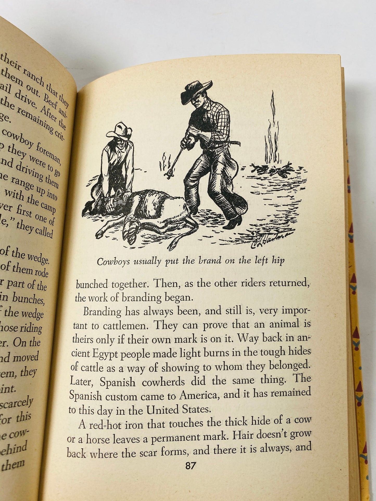 1952 Real Book About Cowboys by Michael Gorsham American Old West vintage book about the frontier. Brown home bookshelf decor