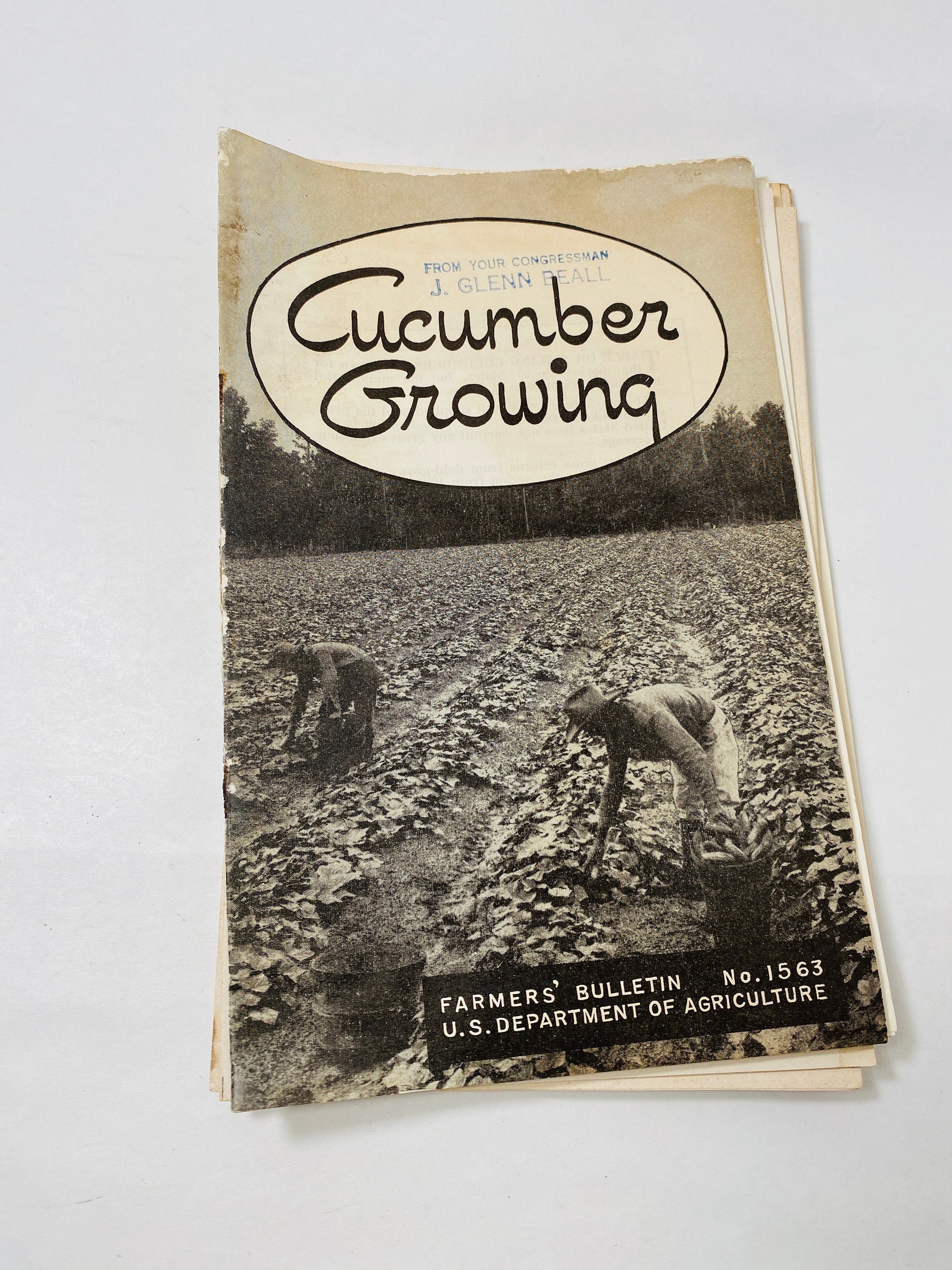 Vintage Agriculture Department farm booklets wool greenhouses grapes vegetable Wheat Smuts asparagus Strawberry eggplant homestead DIY