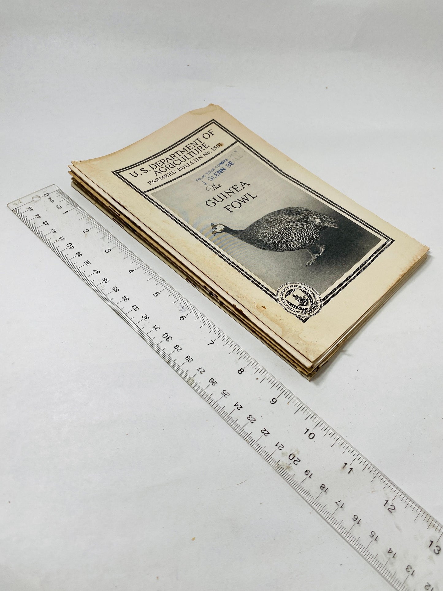 Vintage Agriculture Department farm booklets Guinea Fowl Angora goat milk sheep capons hog houses chickens homestead