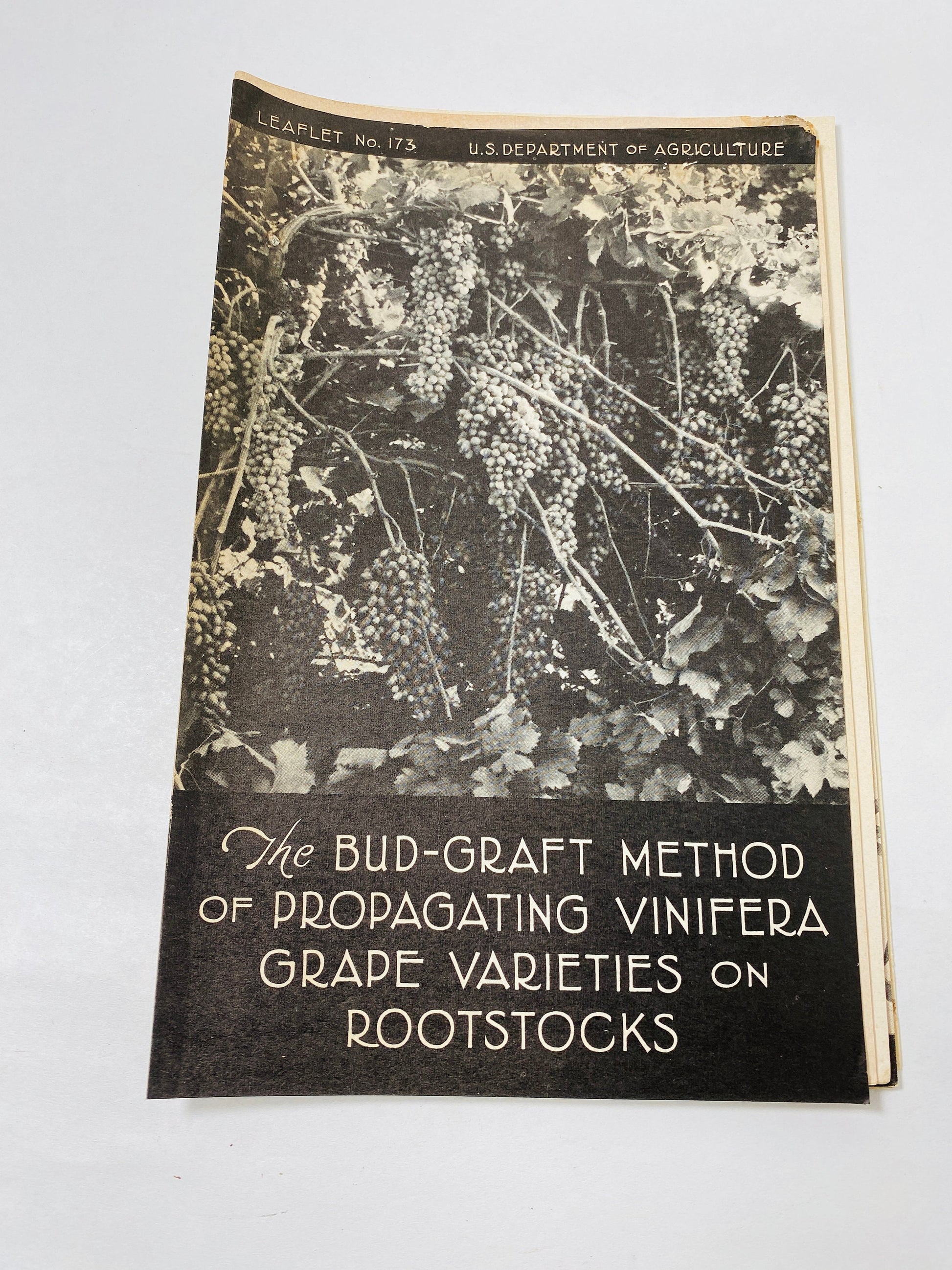 1940s Vintage Agriculture Department farm booklets peas canning olives grapes peppers sorghums barley wheat homestead