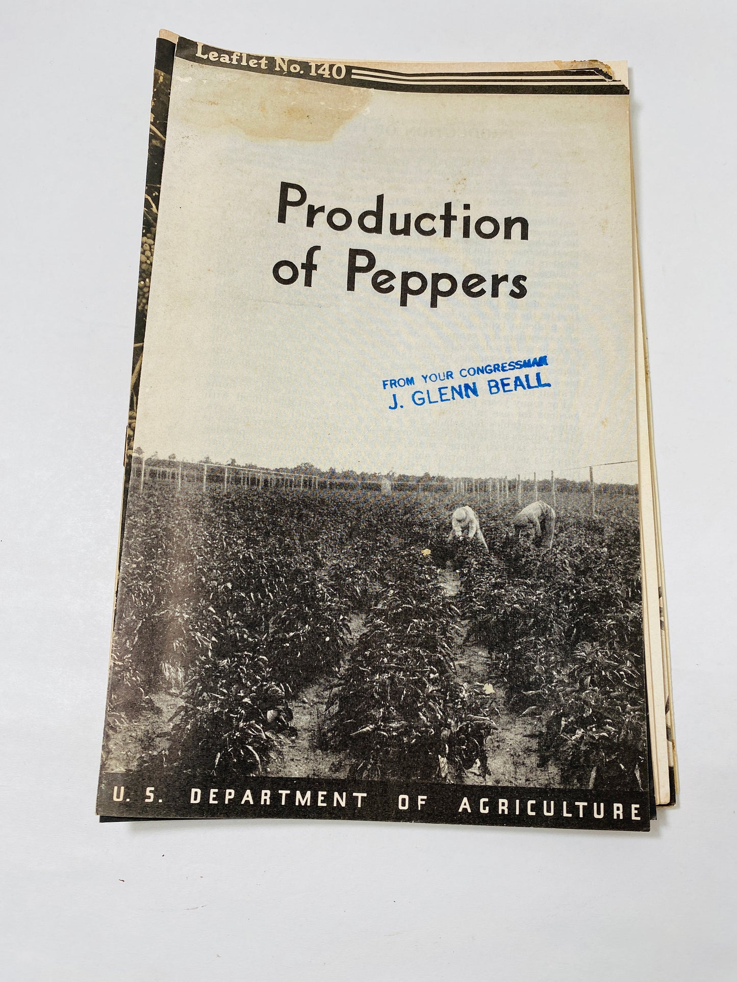 1940s Vintage Agriculture Department farm booklets peas canning olives grapes peppers sorghums barley wheat homestead