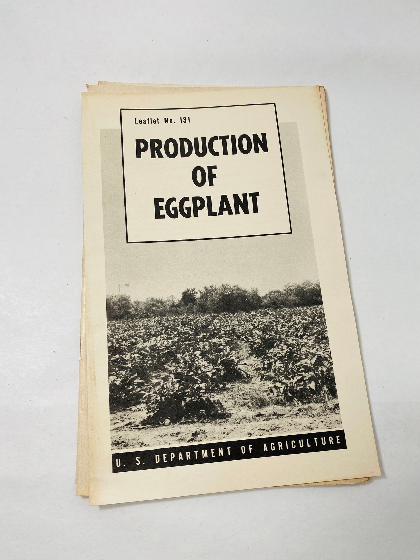 Vintage Agriculture Department farm booklets wool greenhouses grapes vegetable Wheat Smuts asparagus Strawberry eggplant homestead DIY