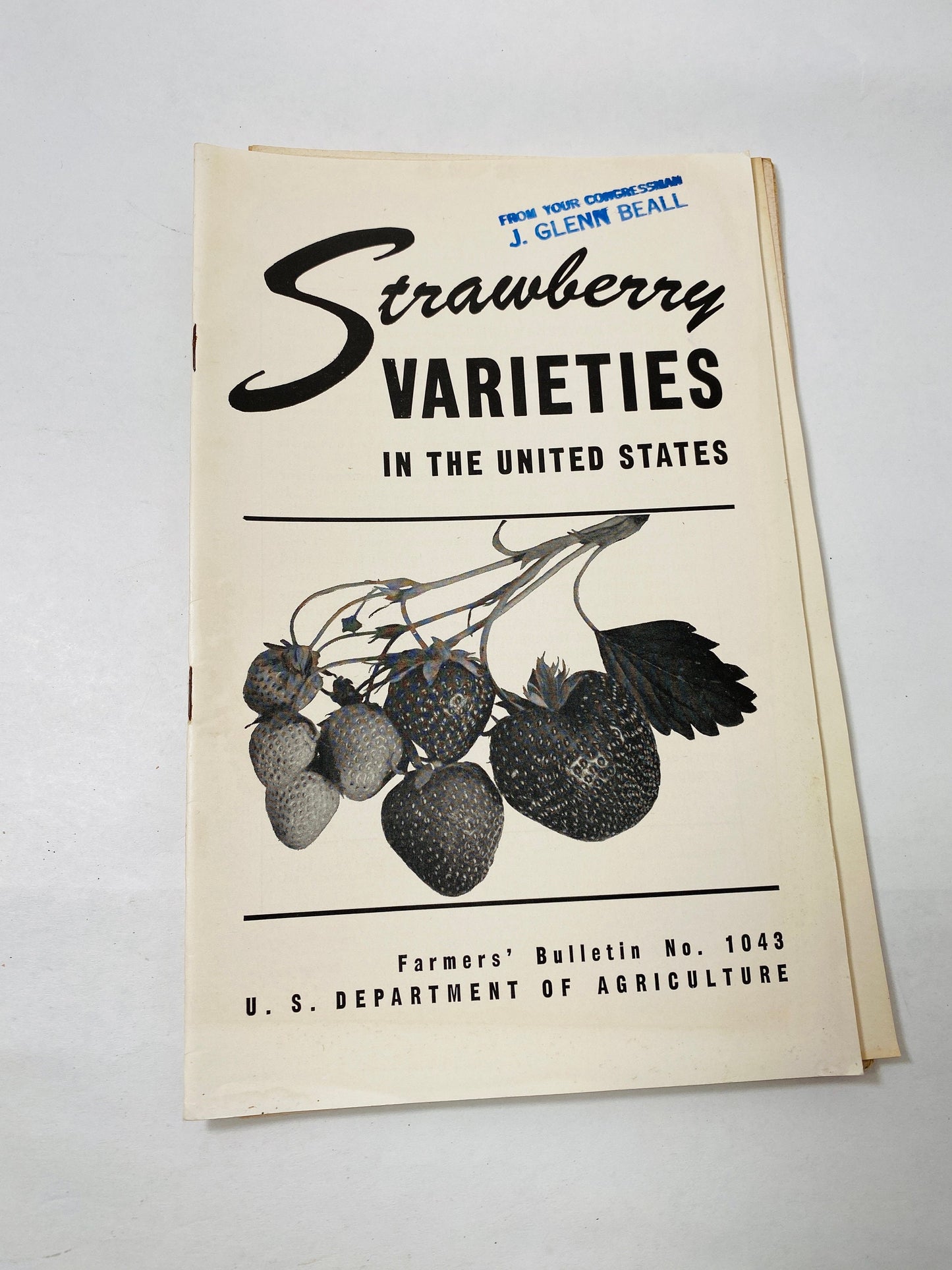 Vintage Agriculture Department farm booklets wool greenhouses grapes vegetable Wheat Smuts asparagus Strawberry eggplant homestead DIY