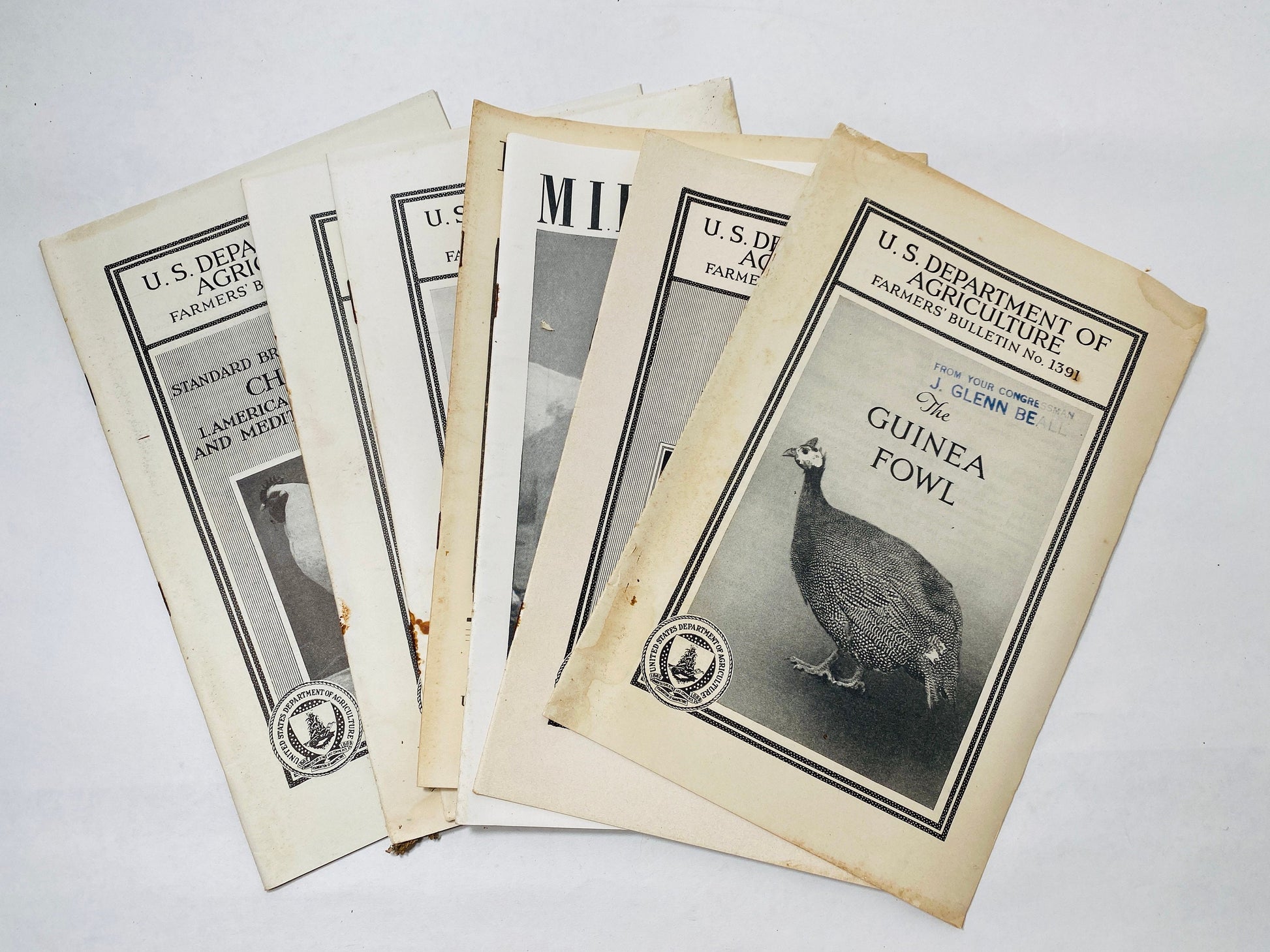 Vintage Agriculture Department farm booklets Guinea Fowl Angora goat milk sheep capons hog houses chickens homestead