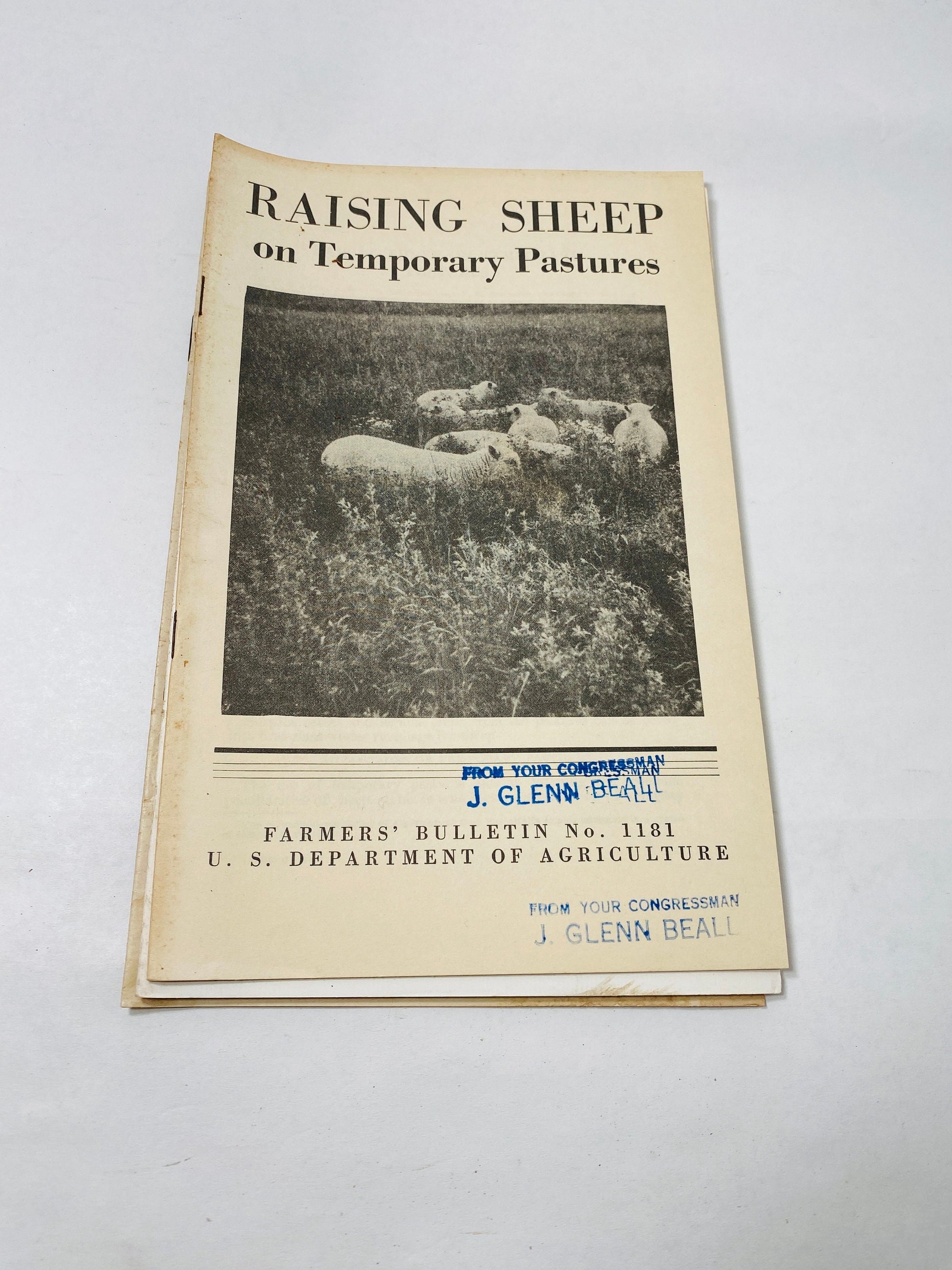 Vintage Agriculture Department farm booklets Guinea Fowl Angora goat milk sheep capons hog houses chickens homestead