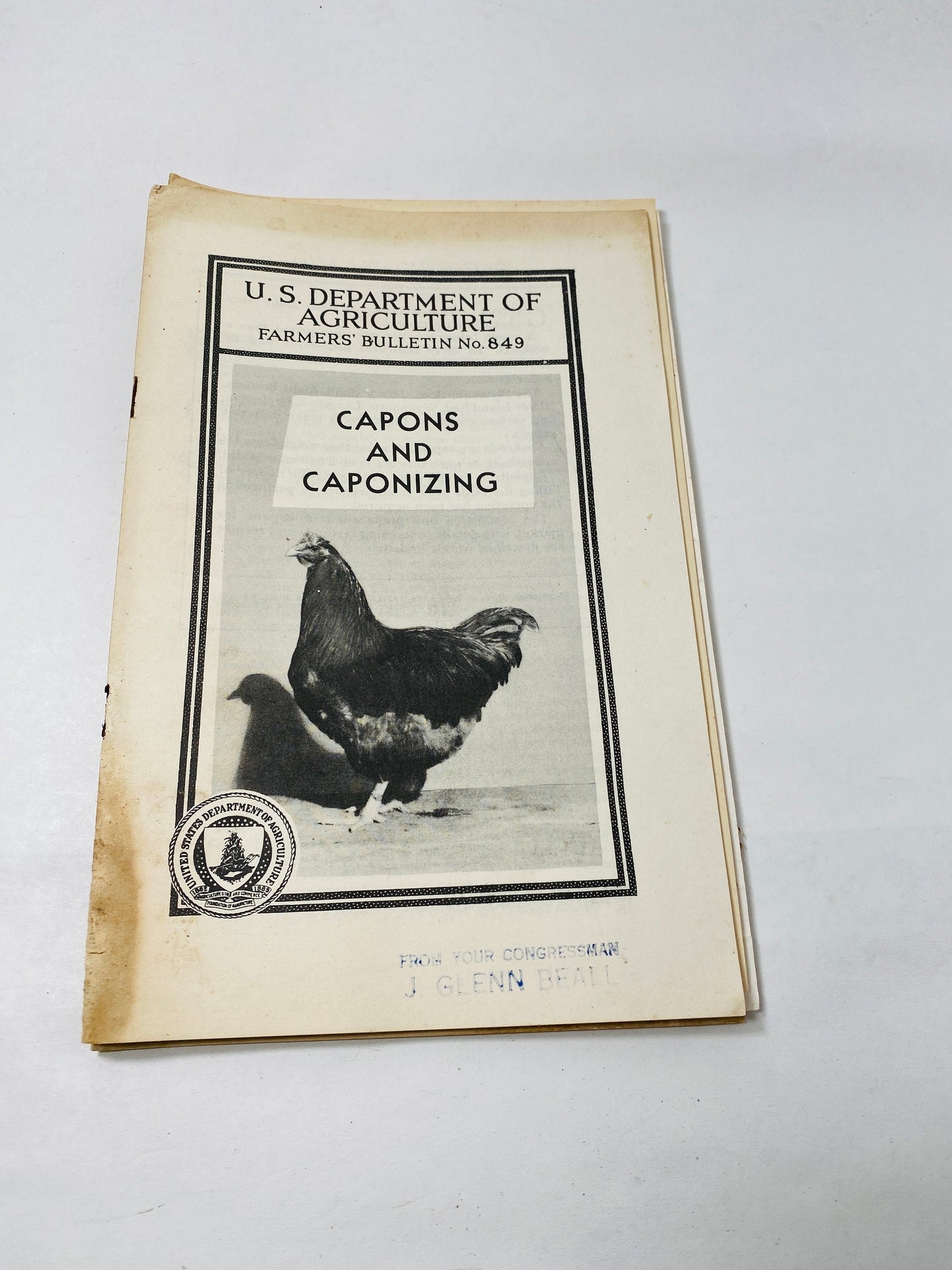 Vintage Agriculture Department farm booklets Guinea Fowl Angora goat milk sheep capons hog houses chickens homestead