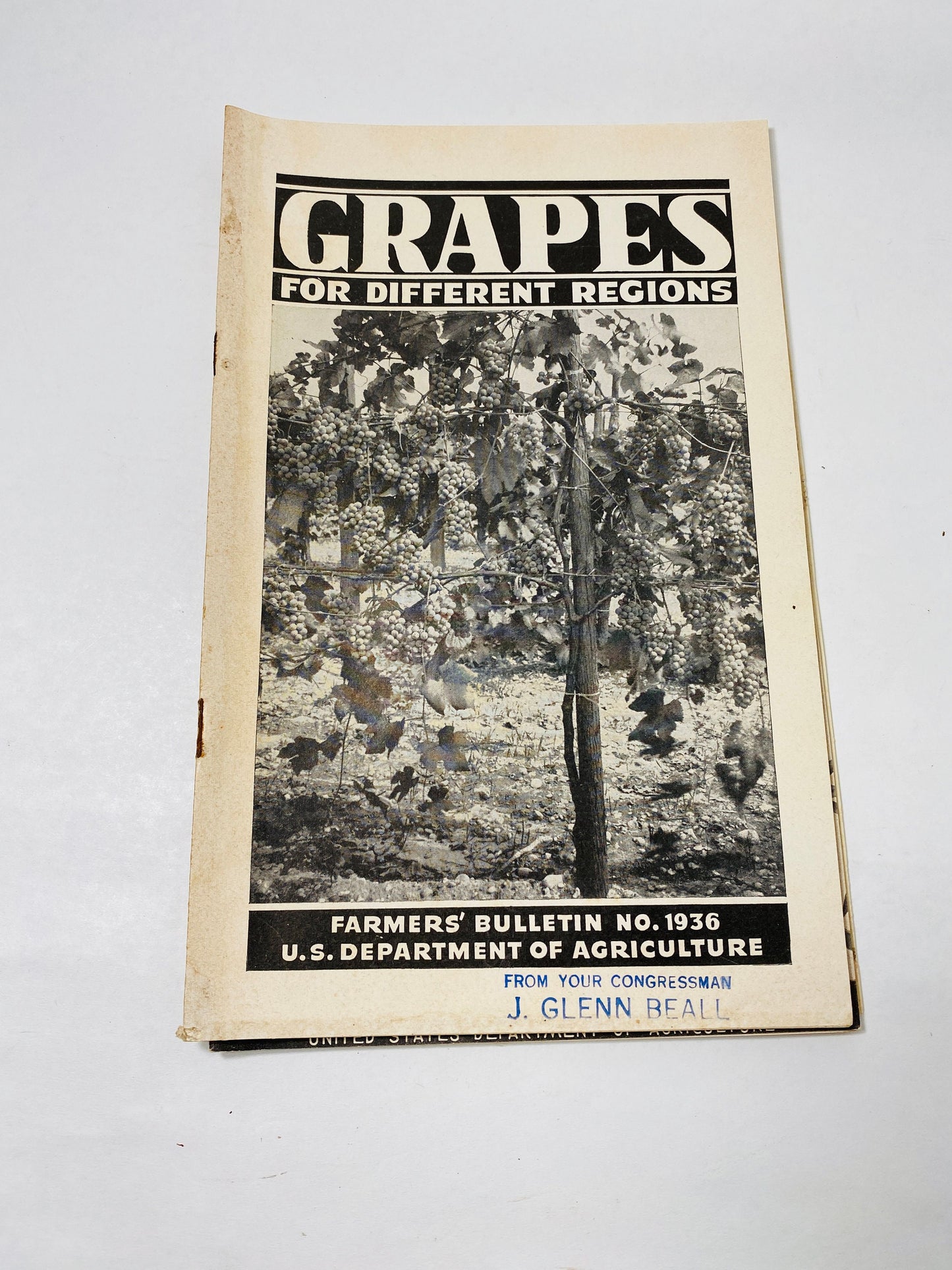 1940s Vintage Agriculture Department farm booklets peas canning olives grapes peppers sorghums barley wheat homestead