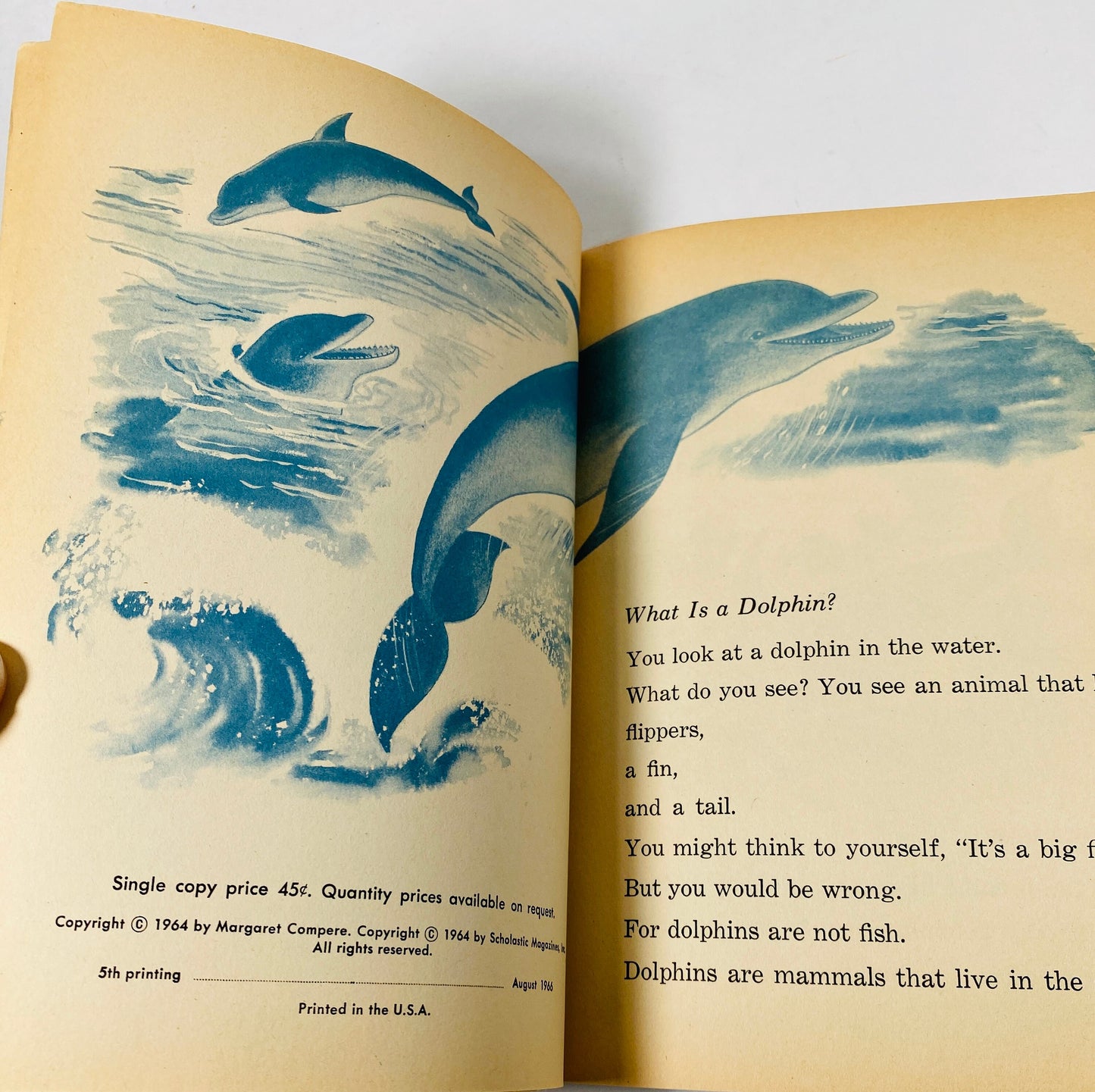 1966 Dolphins! vintage Scholastic paperback picture book. Home decor prop by Mickie Compere