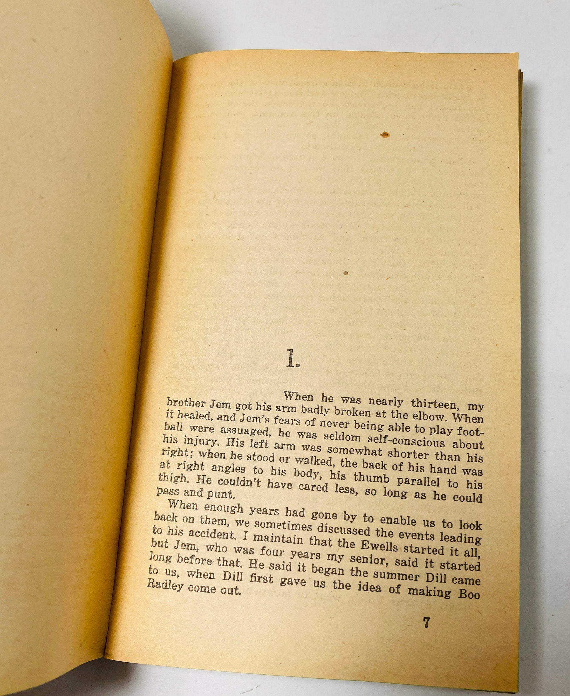 1962 To Kill a Mockingbird Book by Harper Lee vintage paperback book American classic reading 100 Best Novels Pulitzer Prize