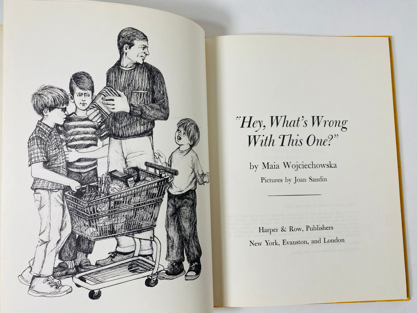 1969 What's Wrong with This One by Maia Wojciechowska Vintage Weekly Reader book about brothers trying to help father find a new wife