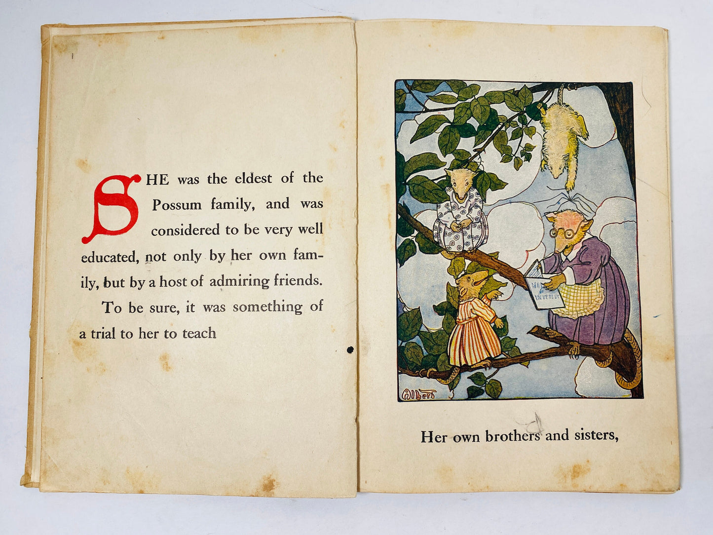 Peter Rabbit Goes to School vintage Saalfield book circa 1917 Children's Easter gift collectible Poor Condition with children's coloring