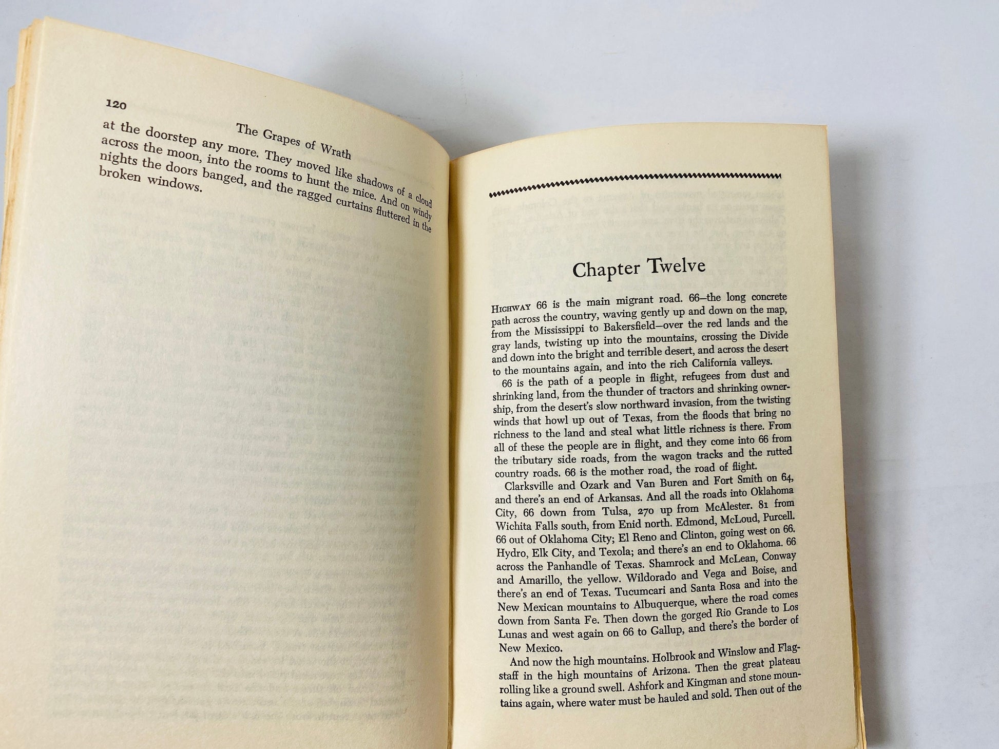 Grapes of Wrath by John Steinbeck vintage book circa 1967 Viking Press Tan & Brown bound Decor rustic classic gift