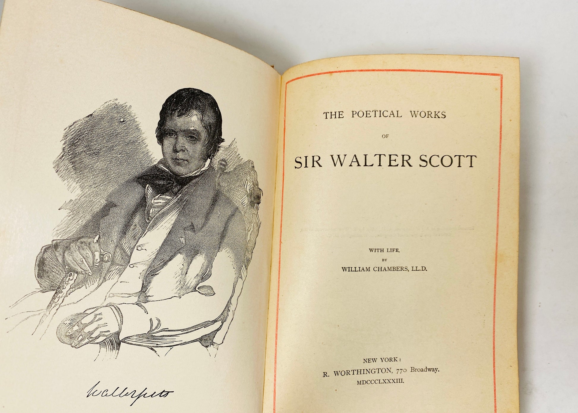 Poetical Works of Sir Walter Scott Vintage book circa 1883 141 years old! Marmion, Lady of the Lake, Lay of Last Minstrel