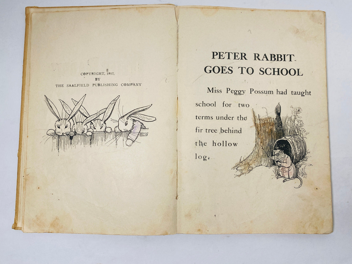 Peter Rabbit Goes to School vintage Saalfield book circa 1917 Children's Easter gift collectible Poor Condition with children's coloring