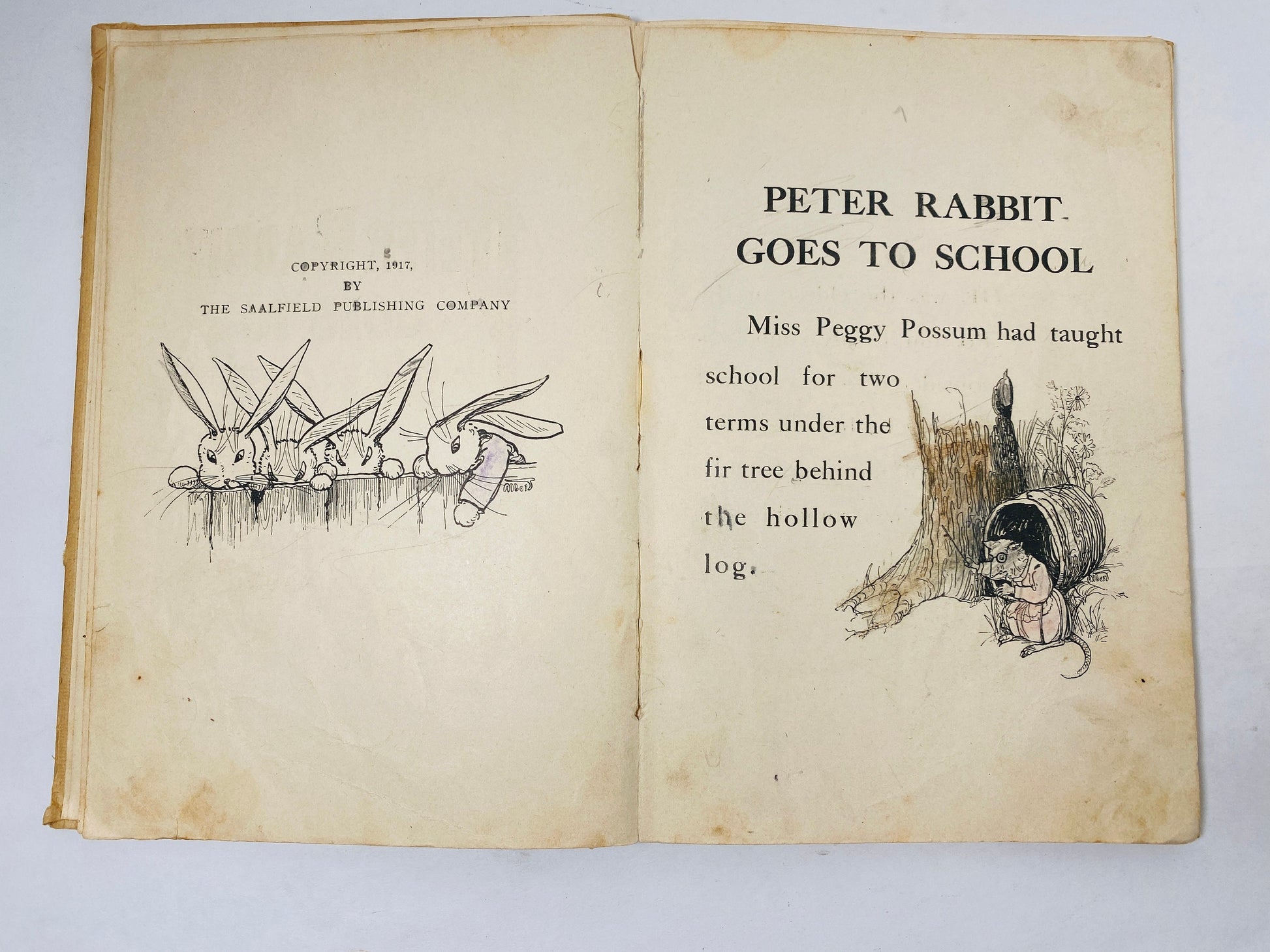 Peter Rabbit Goes to School vintage Saalfield book circa 1917 Children's Easter gift collectible Poor Condition with children's coloring