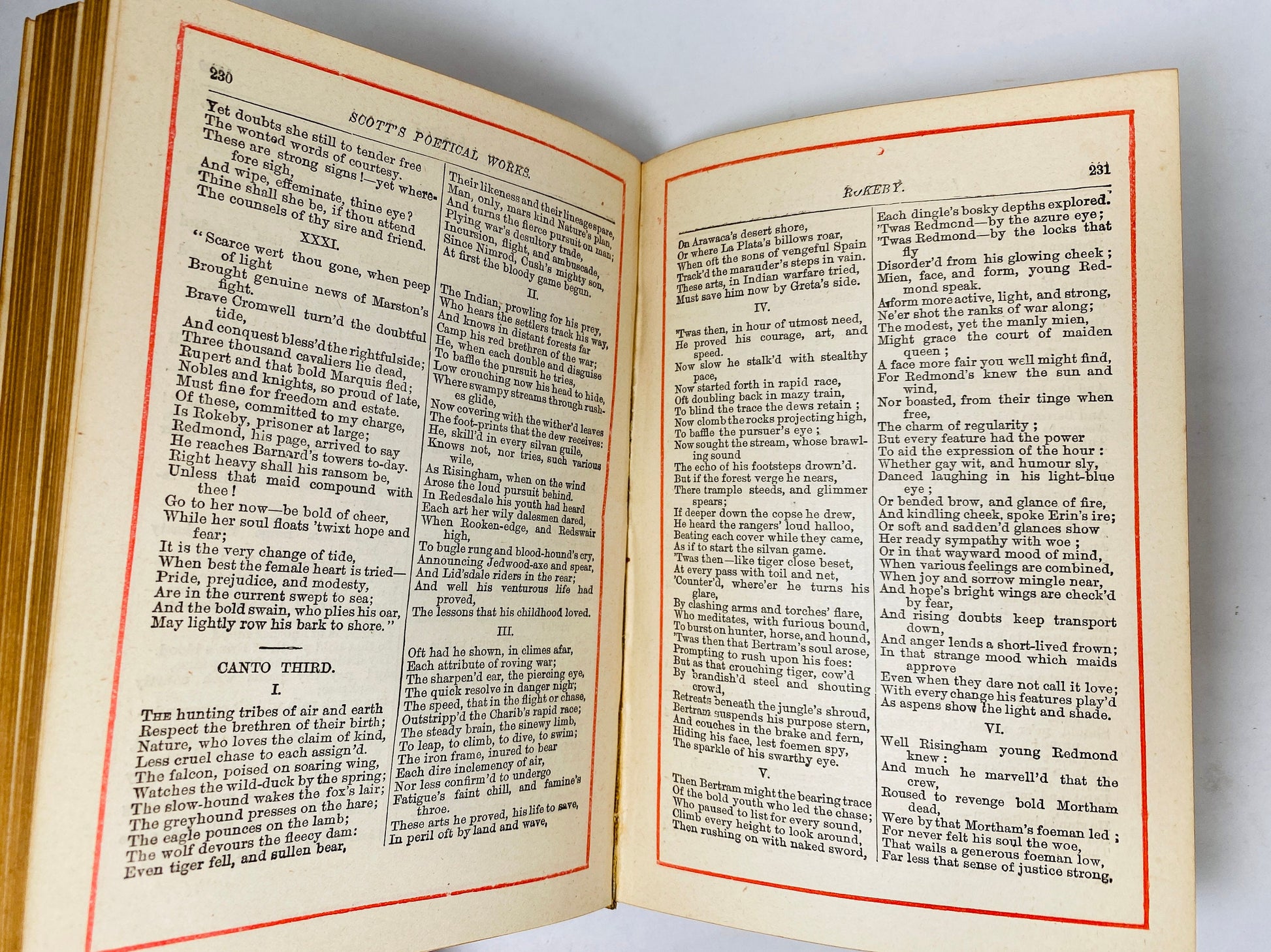 Poetical Works of Sir Walter Scott Vintage book circa 1883 141 years old! Marmion, Lady of the Lake, Lay of Last Minstrel