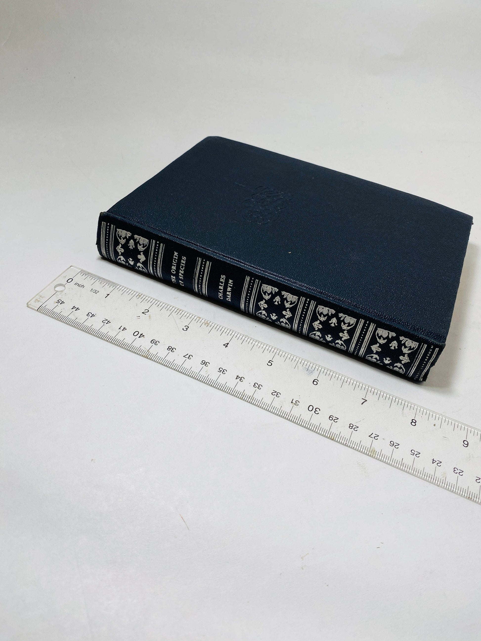 Origin of Species vintage book by Charles Darwin Black and silver decor circa 1945