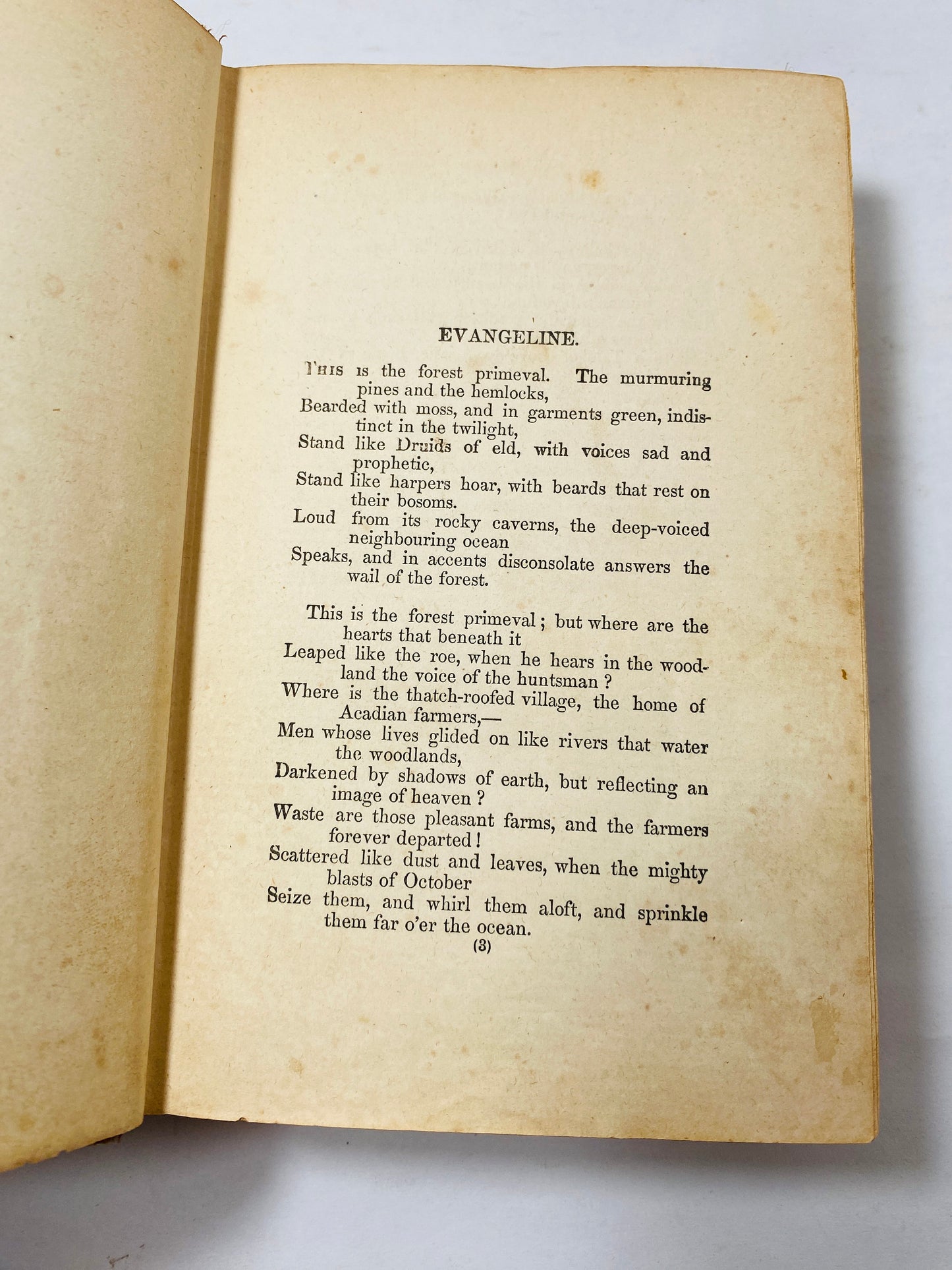 1856 Henry Wadsworth Longfellow antique Volume 2 gold gilt embellishment Vintage poetry book Evangeline Hiawatha