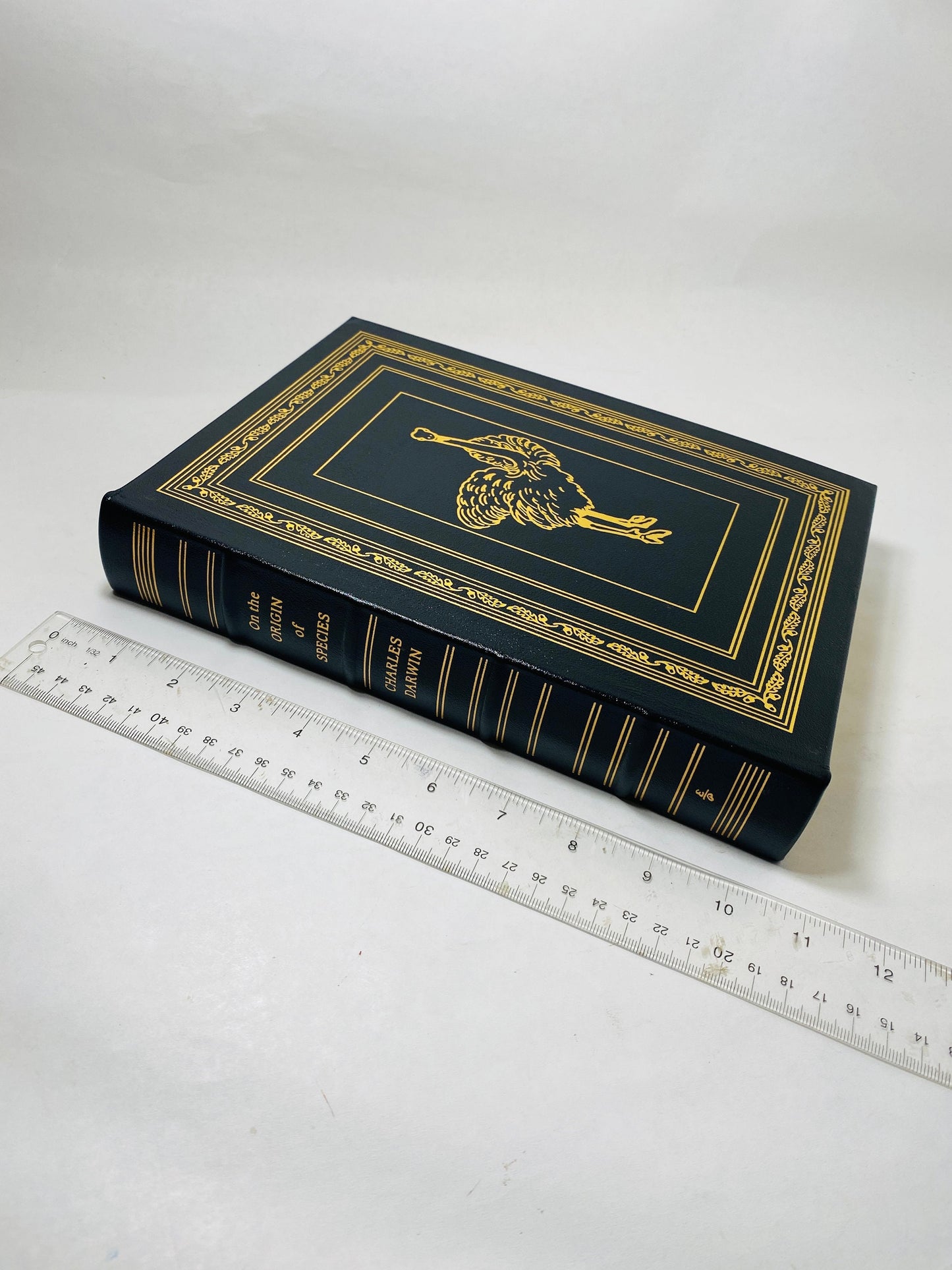 Charles Darwin's Origin of Species Easton Press vintage book Beautiful black and gold leather bookshelf decor Evolution outdoors nature gift