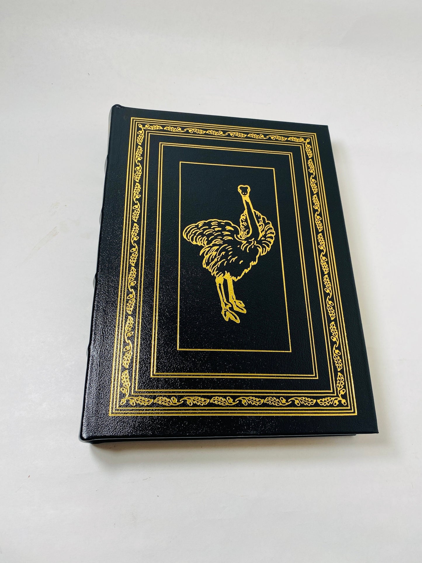 Charles Darwin's Origin of Species Easton Press vintage book Beautiful black and gold leather bookshelf decor Evolution outdoors nature gift