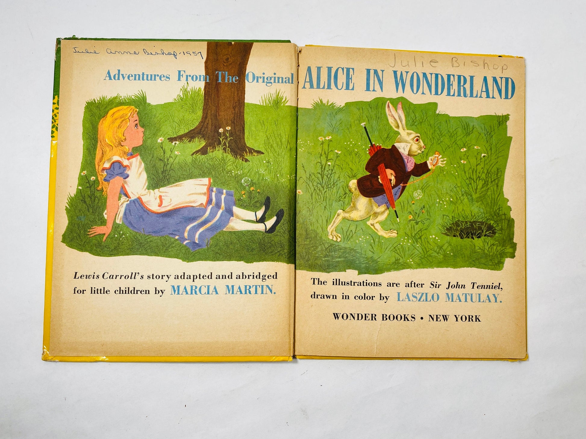 Alice in Wonderland Book vintage Wonder Book illustrated by Laszlo Matulay circa 1951. Lewis Carroll FIRST EDITION