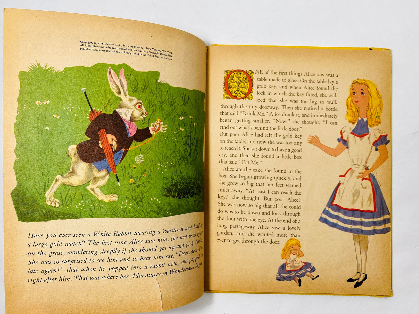 Alice in Wonderland Book vintage Wonder Book illustrated by Laszlo Matulay circa 1951. Lewis Carroll FIRST EDITION