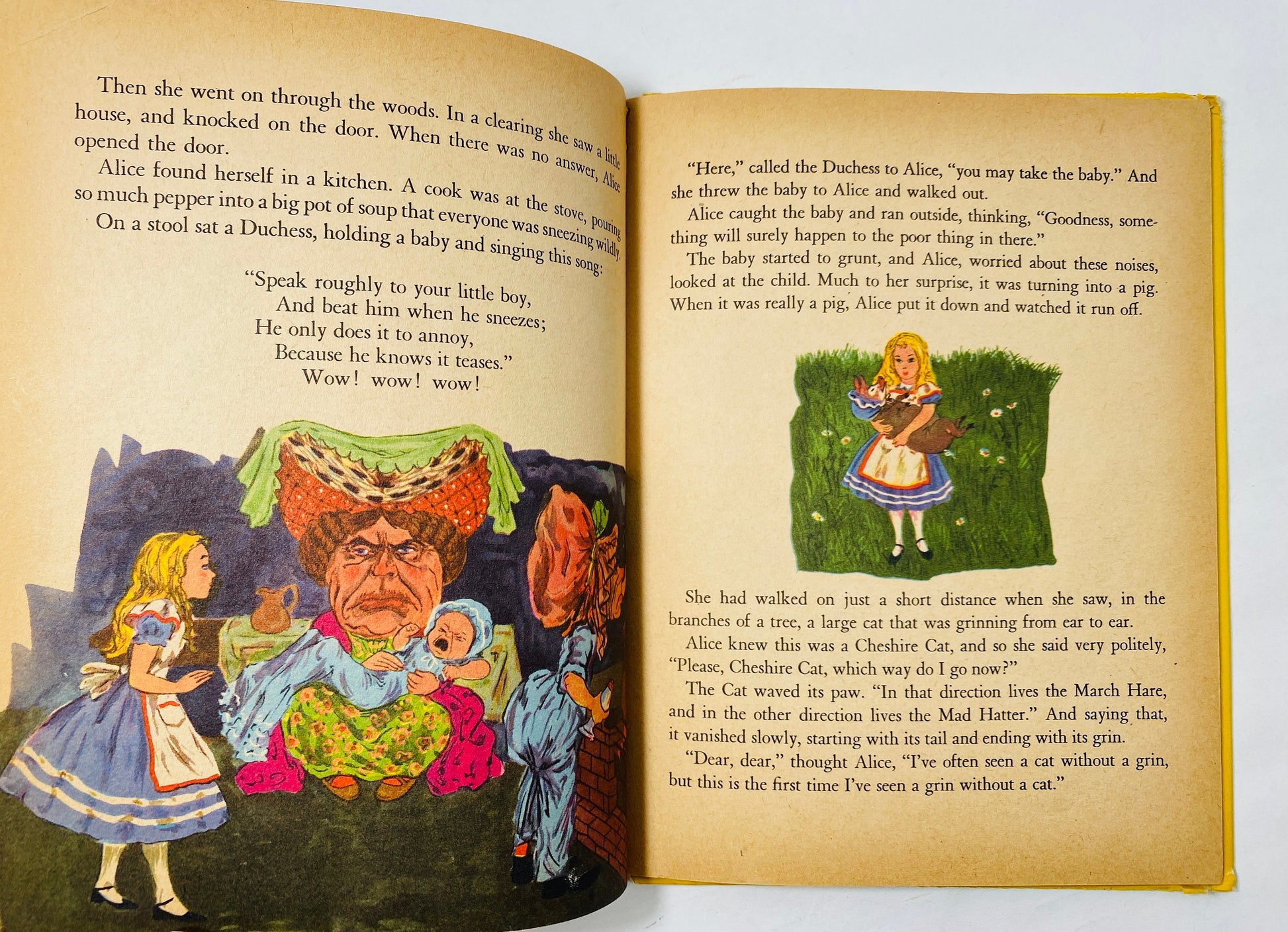 Alice in Wonderland Book vintage Wonder Book illustrated by Laszlo Matulay circa 1951. Lewis Carroll FIRST EDITION