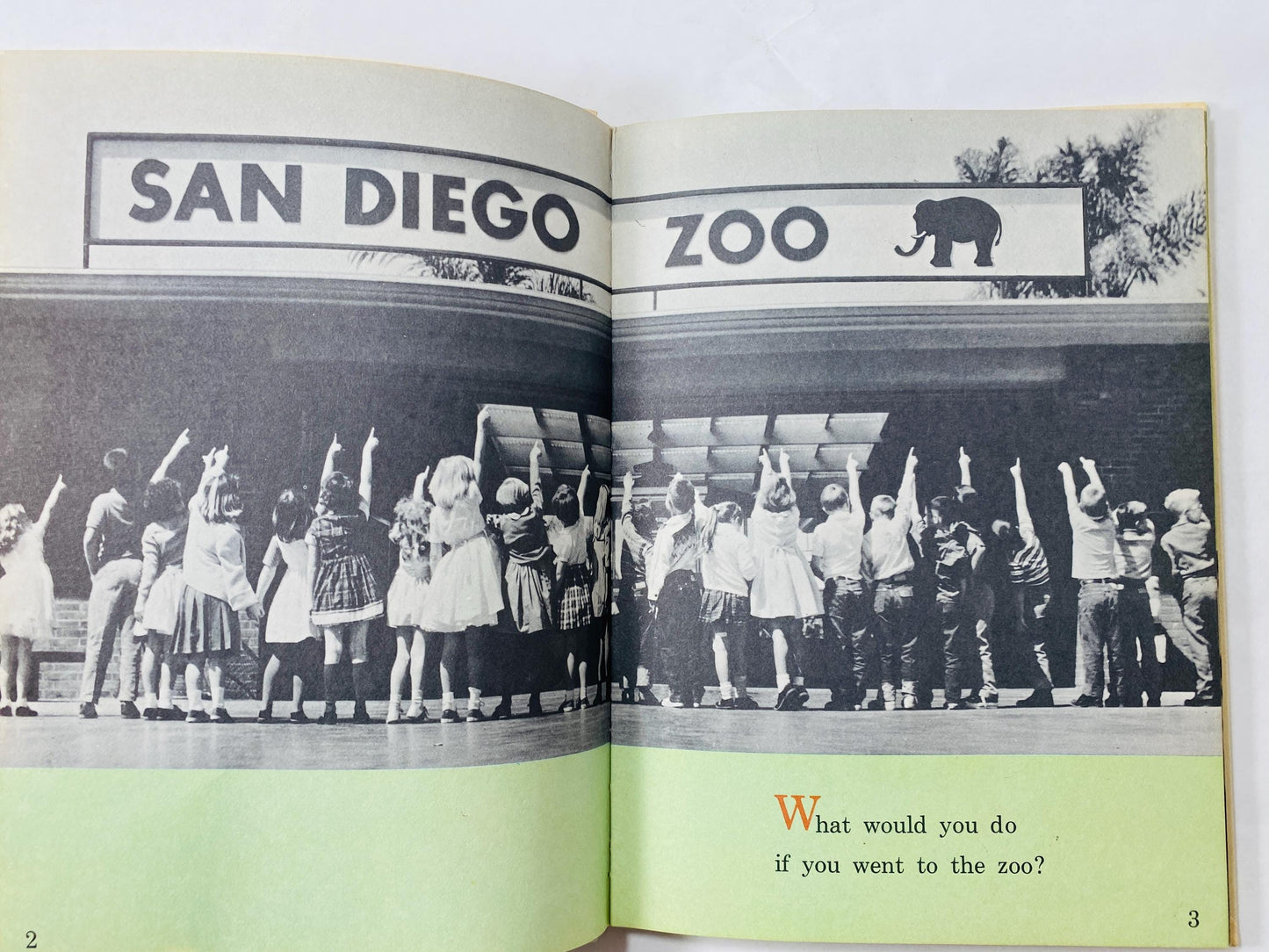 1962 Kissed by a Seal at the Zoo Vintage children's I Can Read book. Home school early beginning elementary Helen Palmer