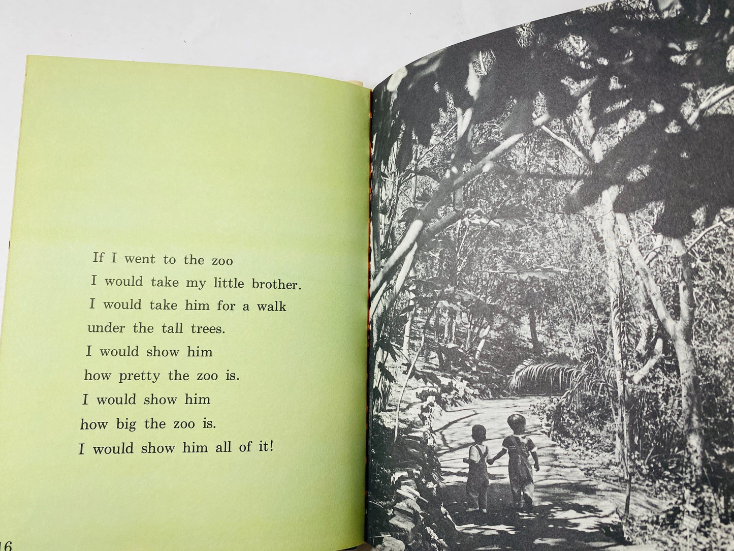 1962 Kissed by a Seal at the Zoo Vintage children's I Can Read book. Home school early beginning elementary Helen Palmer