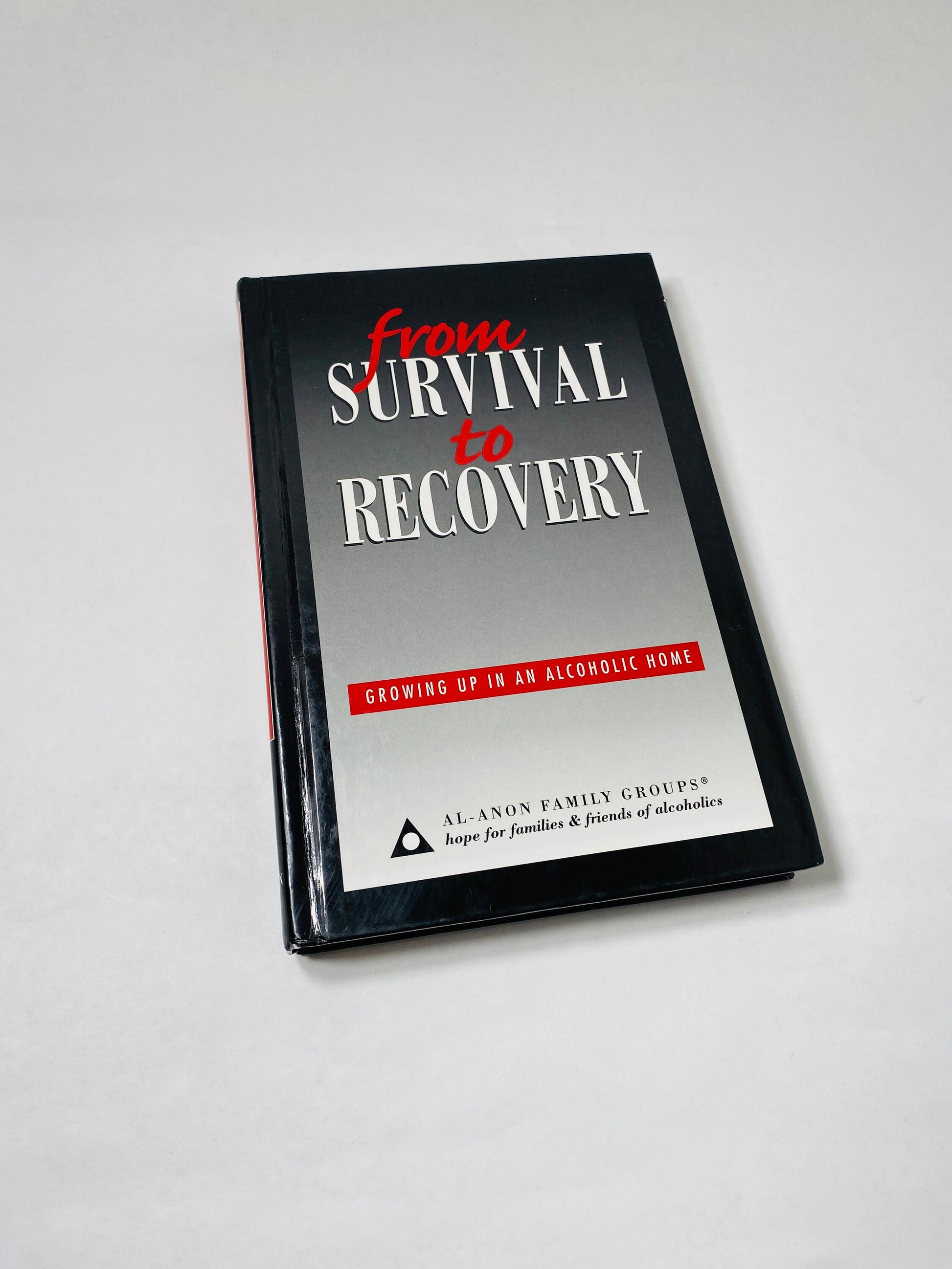 1994 Survival to Recovery vintage book Alcoholics AnonymousGrowing up in an Alcoholic Home AA sobriety Twelve Steps Meditations