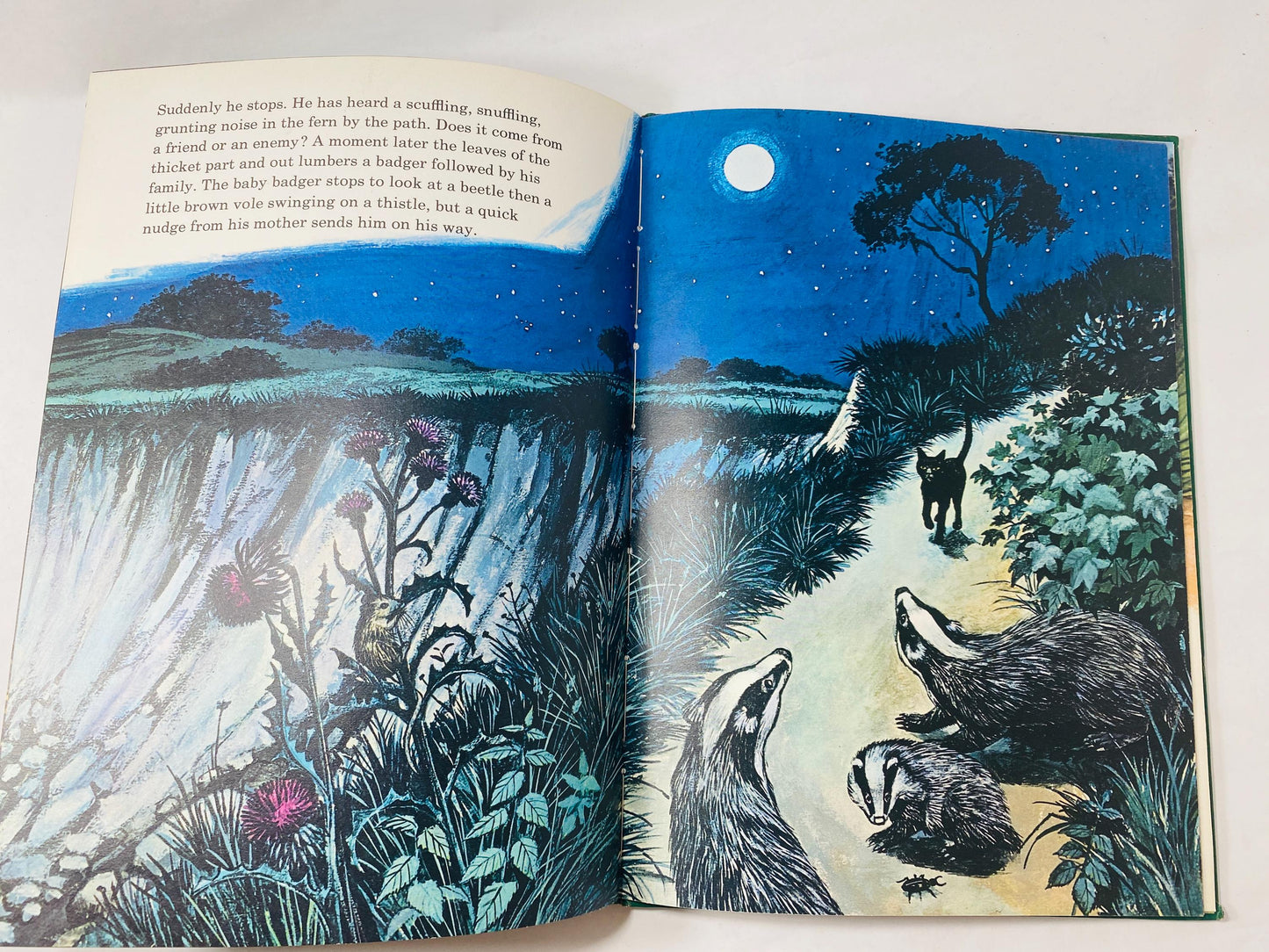 1970 Wonderful World of Night vintage children's book featuring whimsical illustrations of a black cat FIRST EDITION by Marion Koenig kitten