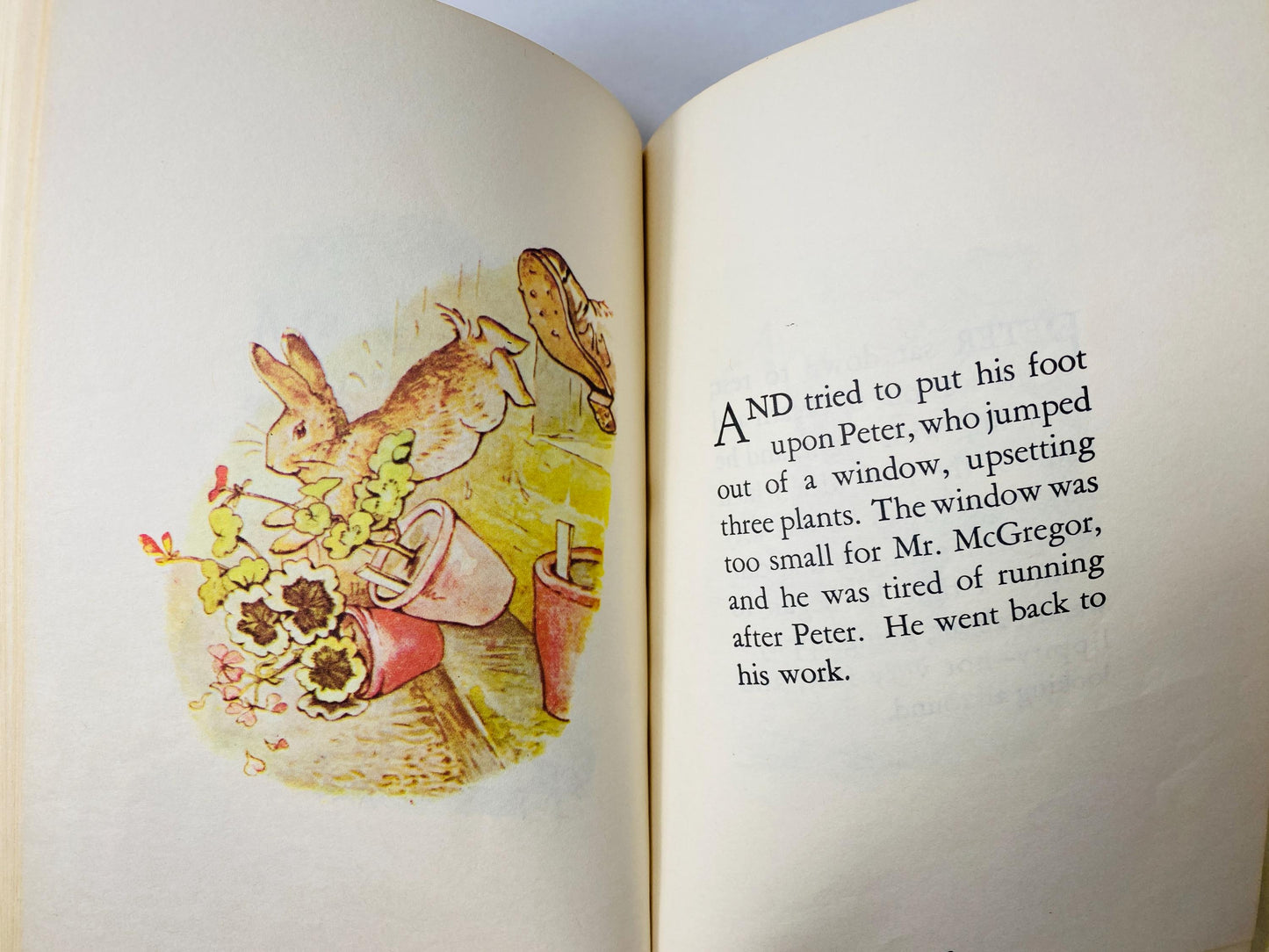 Tale of Peter Rabbit by Beatrix Potter vintage children's book circa 1987.