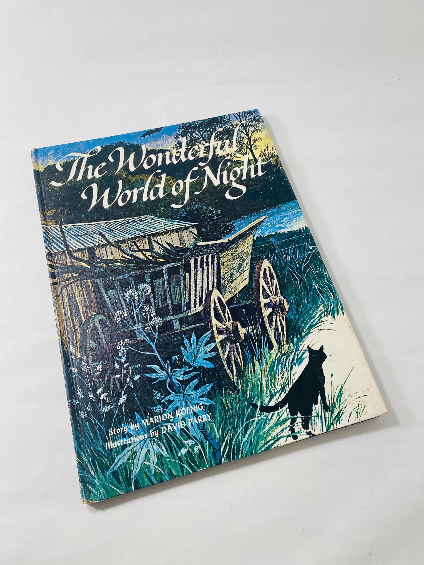 1970 Wonderful World of Night vintage children's book featuring whimsical illustrations of a black cat FIRST EDITION by Marion Koenig kitten