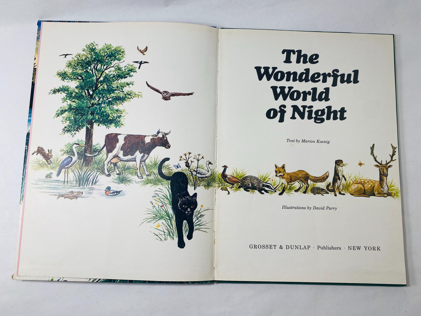 1970 Wonderful World of Night vintage children's book featuring whimsical illustrations of a black cat FIRST EDITION by Marion Koenig kitten