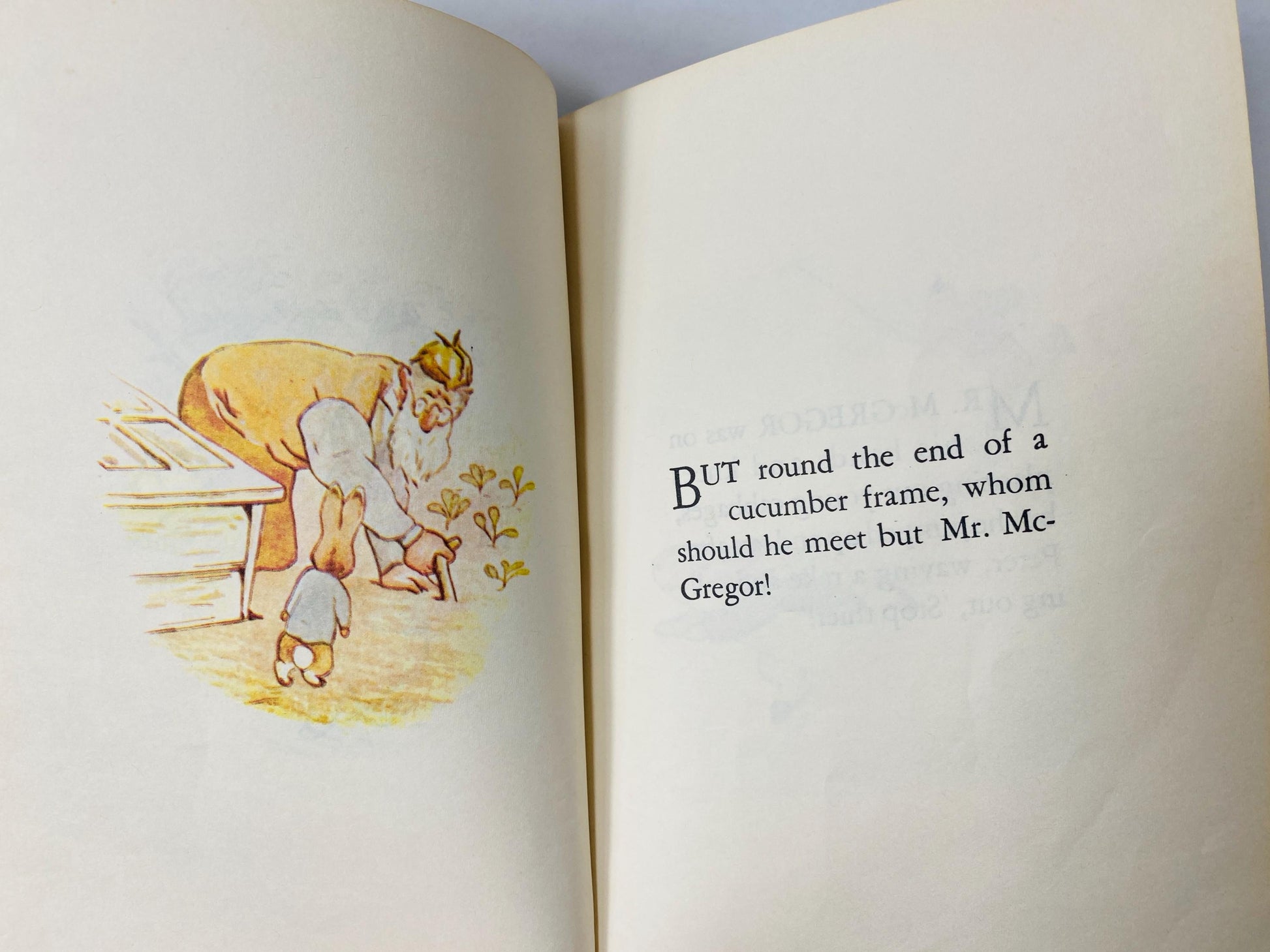 Tale of Peter Rabbit by Beatrix Potter vintage children's book circa 1987.