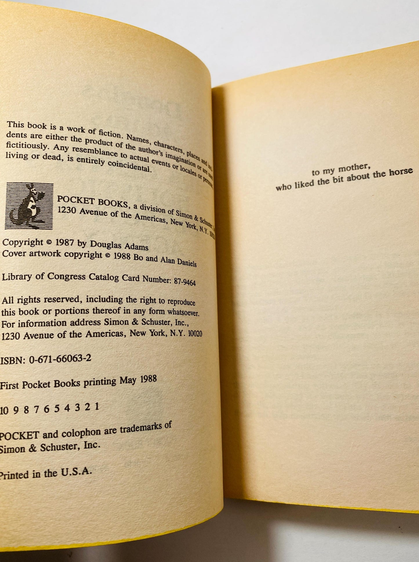 Dirk Gently's Holistic Detective Agency by Douglas Adams vintage book circa 1988 FIRST Pocket Printing Christmas Stocking stuffer gift