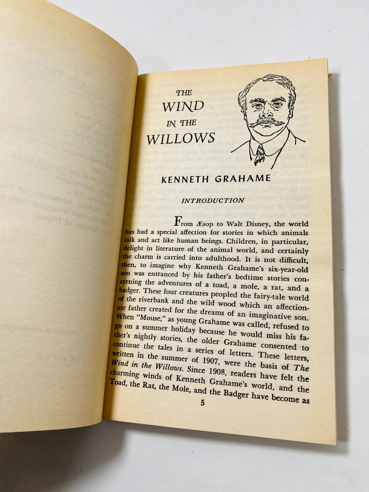 1966 Wind in the Willows Vintage paperback book by Kenneth Grahame illustrated by Ernest H Shepard. Children's bookshelf decor. Airmont