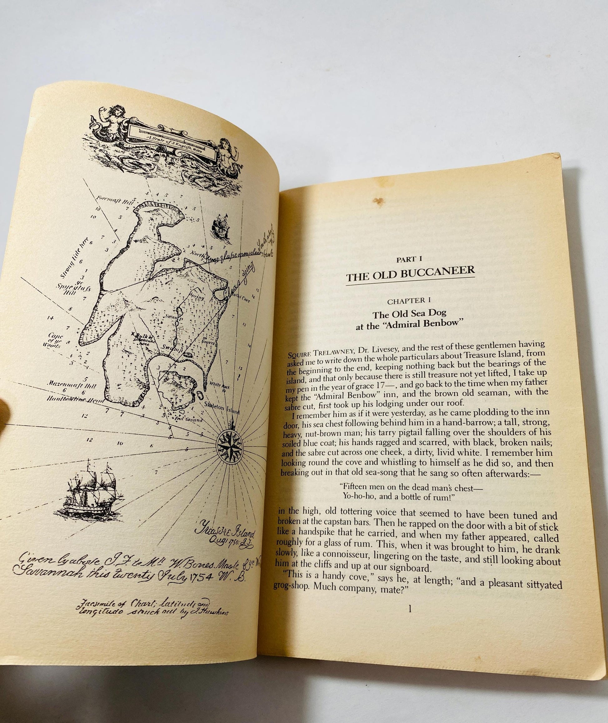 Treasure Island by Robert Louis Stevenson Vintage paperback book bookshelf decor Children's adventure stories Christmas stocking stuffer