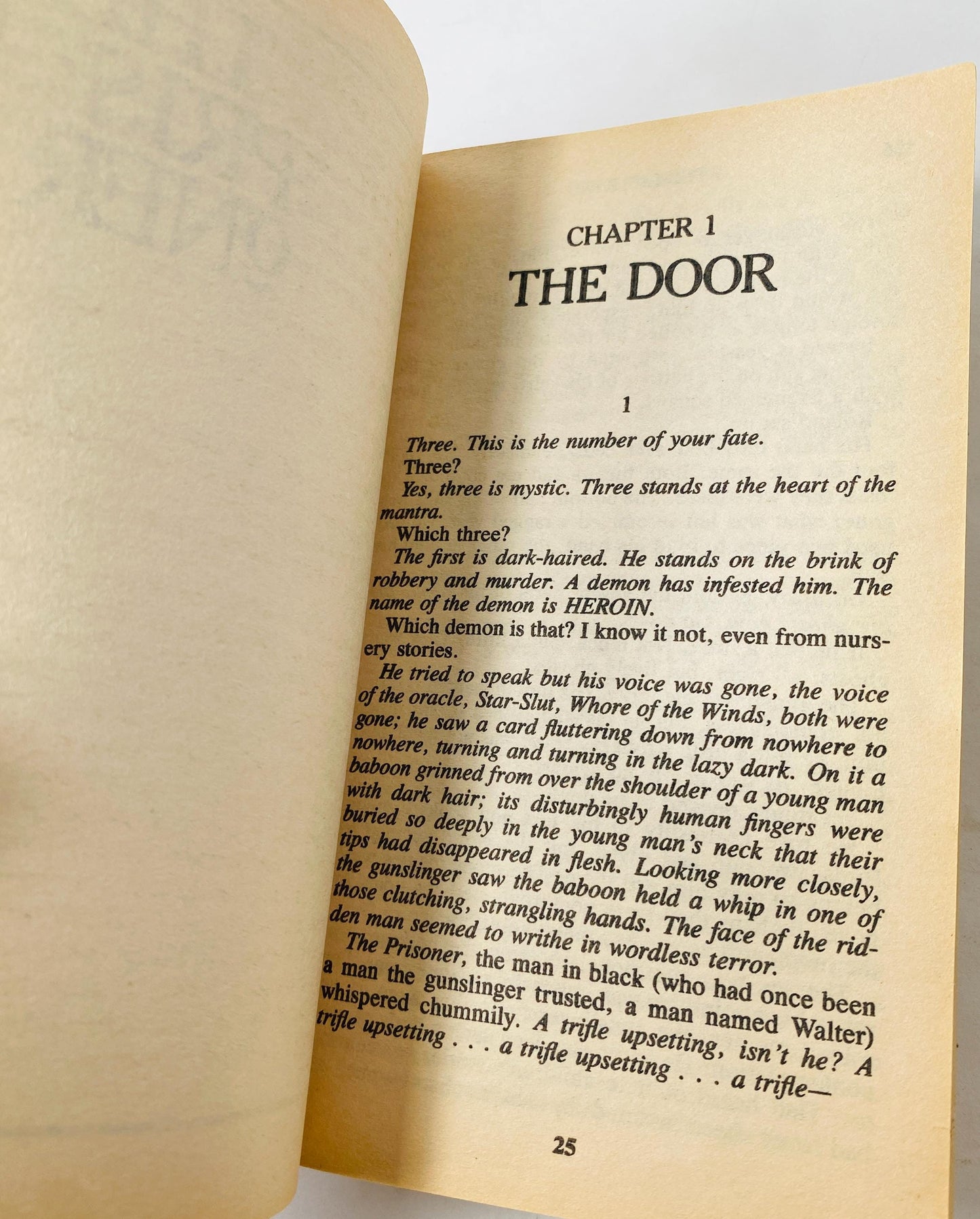 The Dark Tower II Drawing of the Three by Stephen King. FIRST EDITION First Printing. Vintage book circa 1987. First Plume Printing. Gift