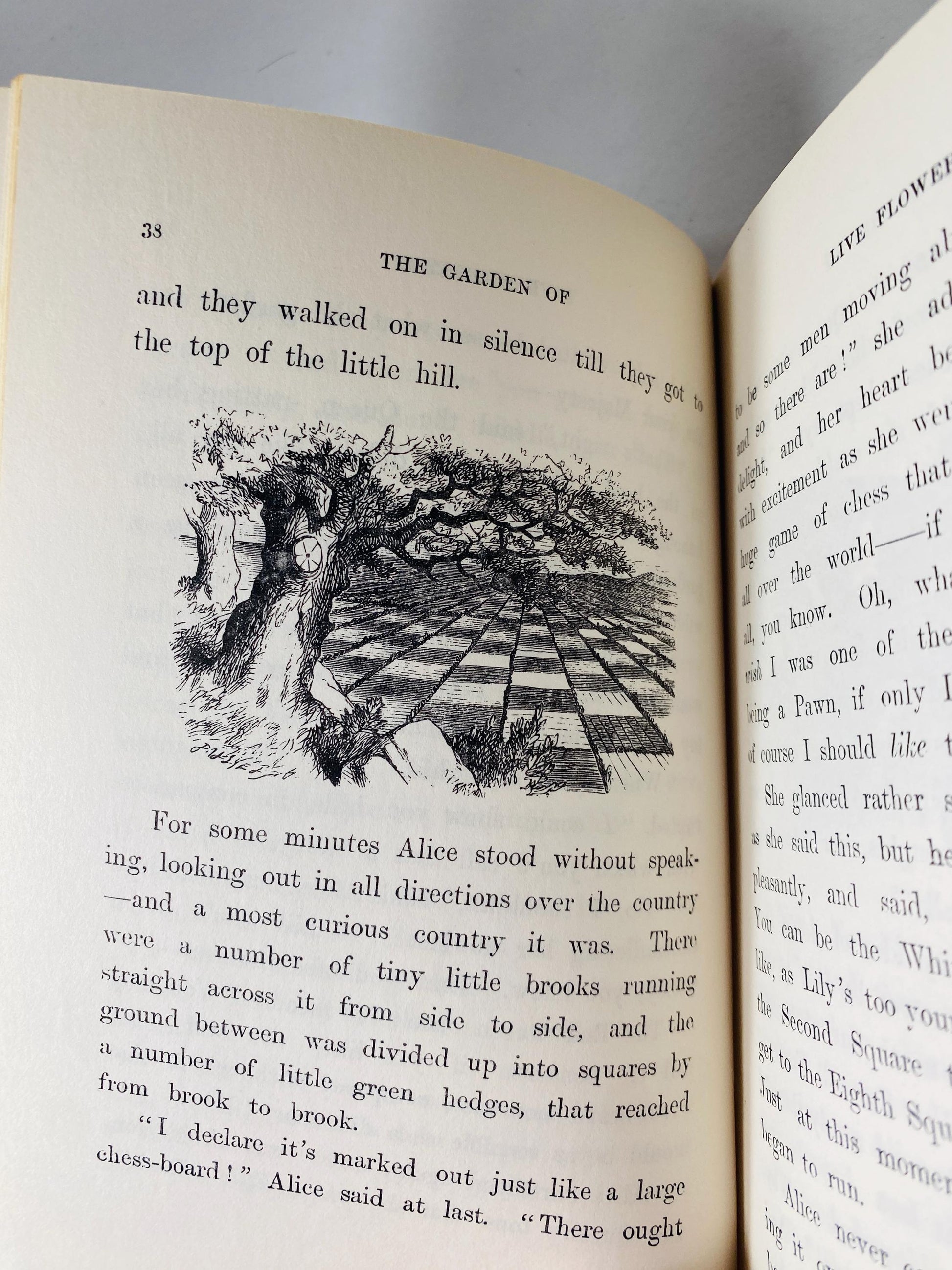 1927 Through the Looking-Glass and What Alice Found There by Lewis Carroll illustrated John Tenniel London Macmillan