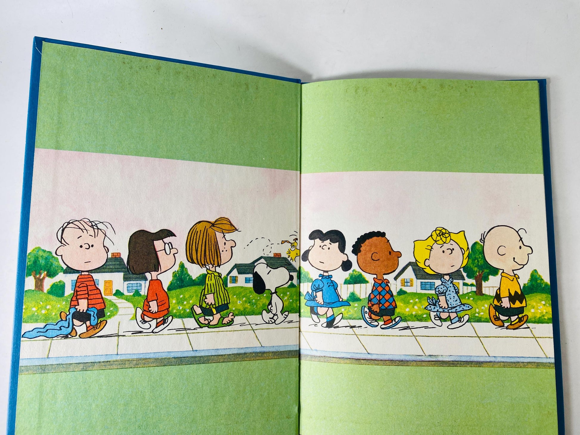 Its a Mystery Charlie Brown vintage Peanuts book by Charles Schulz circa 1975 Children's Book gift