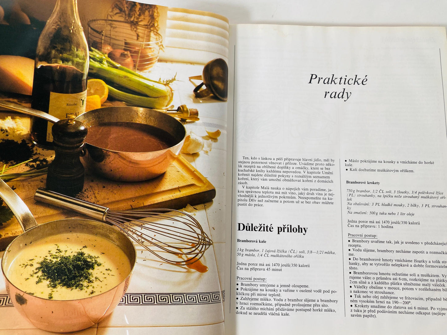 Vaříme s potěšením Cooking with Pleasure vintage Czech by Annette Wolterová and Christian Teubner circa 1997 European recipes meat dumplings