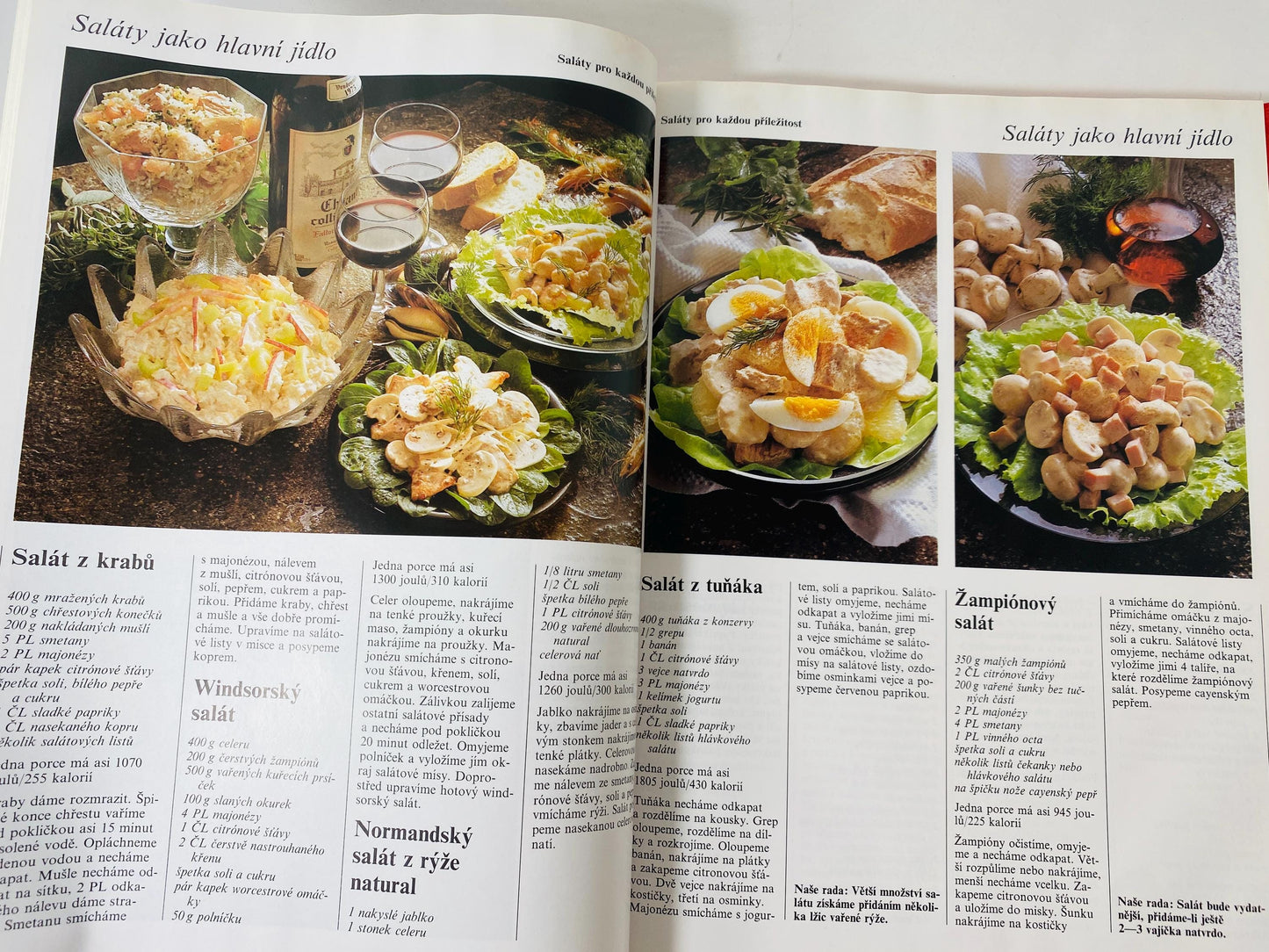 Vaříme s potěšením Cooking with Pleasure vintage Czech by Annette Wolterová and Christian Teubner circa 1997 European recipes meat dumplings